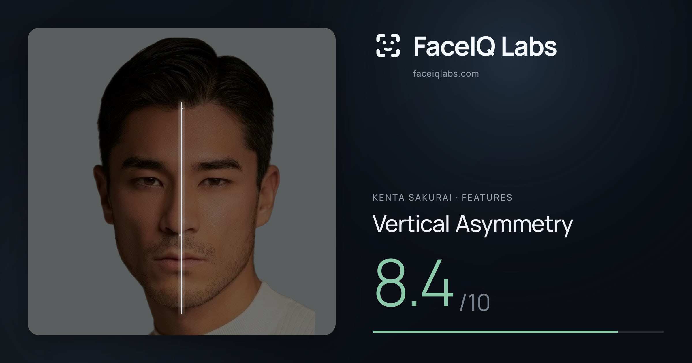 Kenta Sakurai Vertical Asymmetry: 8.4/10, drawn on the photo