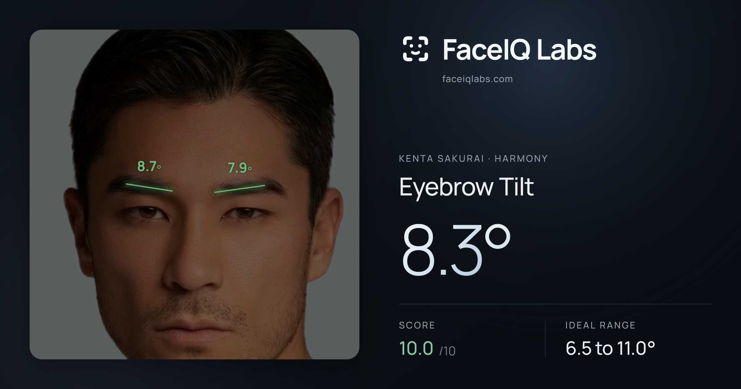 Kenta Sakurai Eyebrow Tilt: 8.3°, drawn on the photo