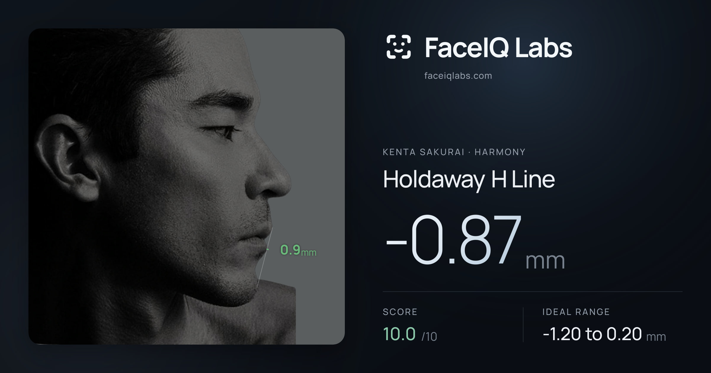Kenta Sakurai Holdaway H Line: -0.87mm, drawn on the photo