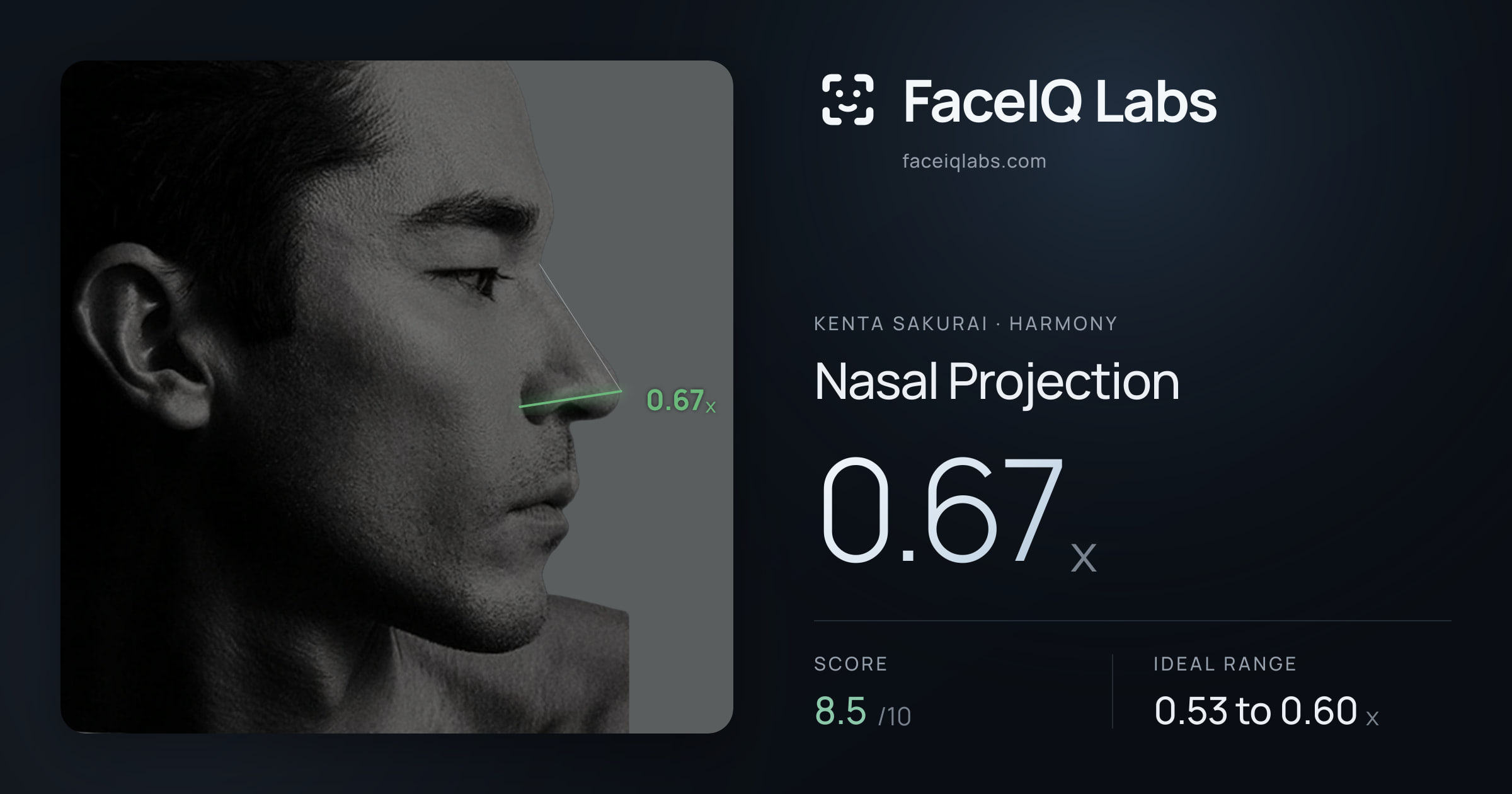 Kenta Sakurai Nasal Projection: 0.67x, drawn on the photo