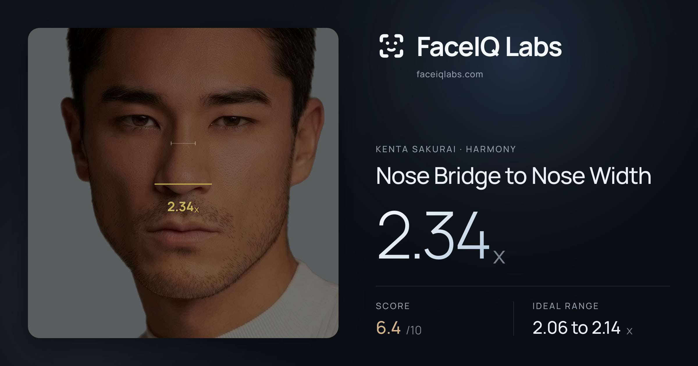 Kenta Sakurai Nose Bridge to Nose Width: 2.34x, drawn on the photo
