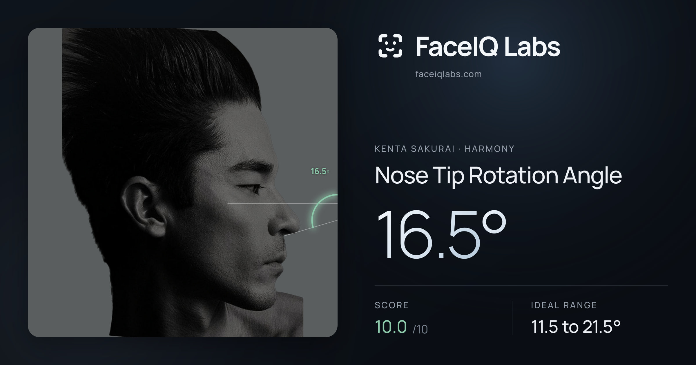 Kenta Sakurai Nose Tip Rotation Angle: 16.5°, drawn on the photo