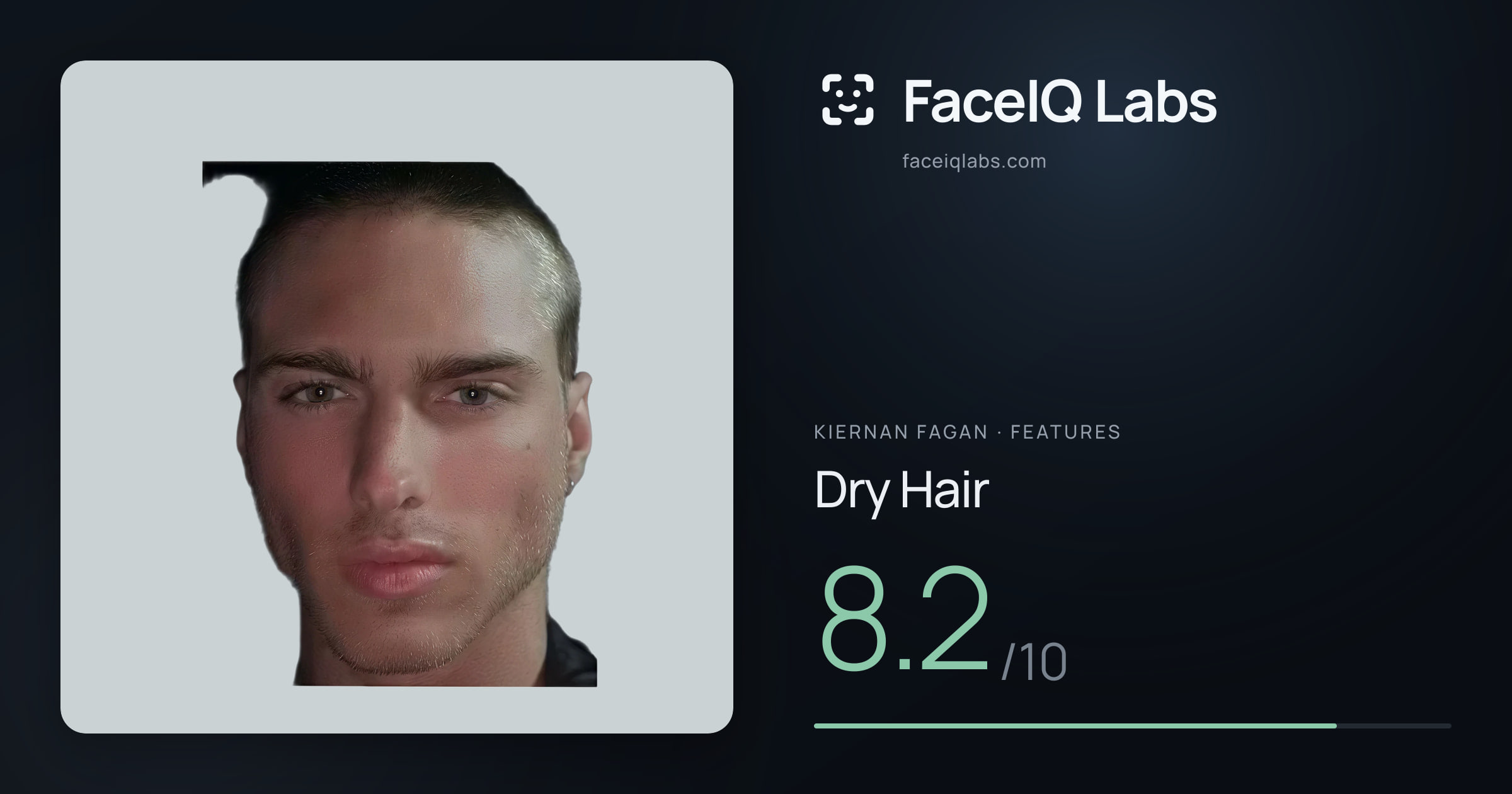 Kiernan Fagan Dry Hair: 8.2/10, drawn on the photo