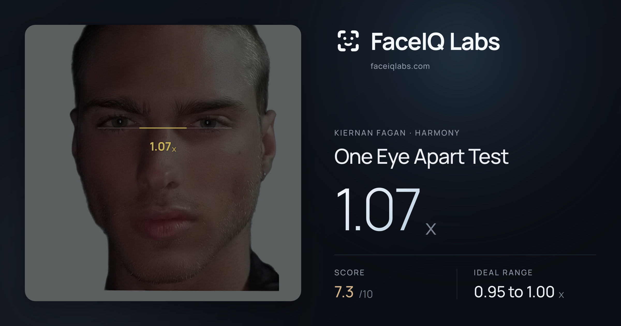 Kiernan Fagan One Eye Apart Test: 1.07x, drawn on the photo