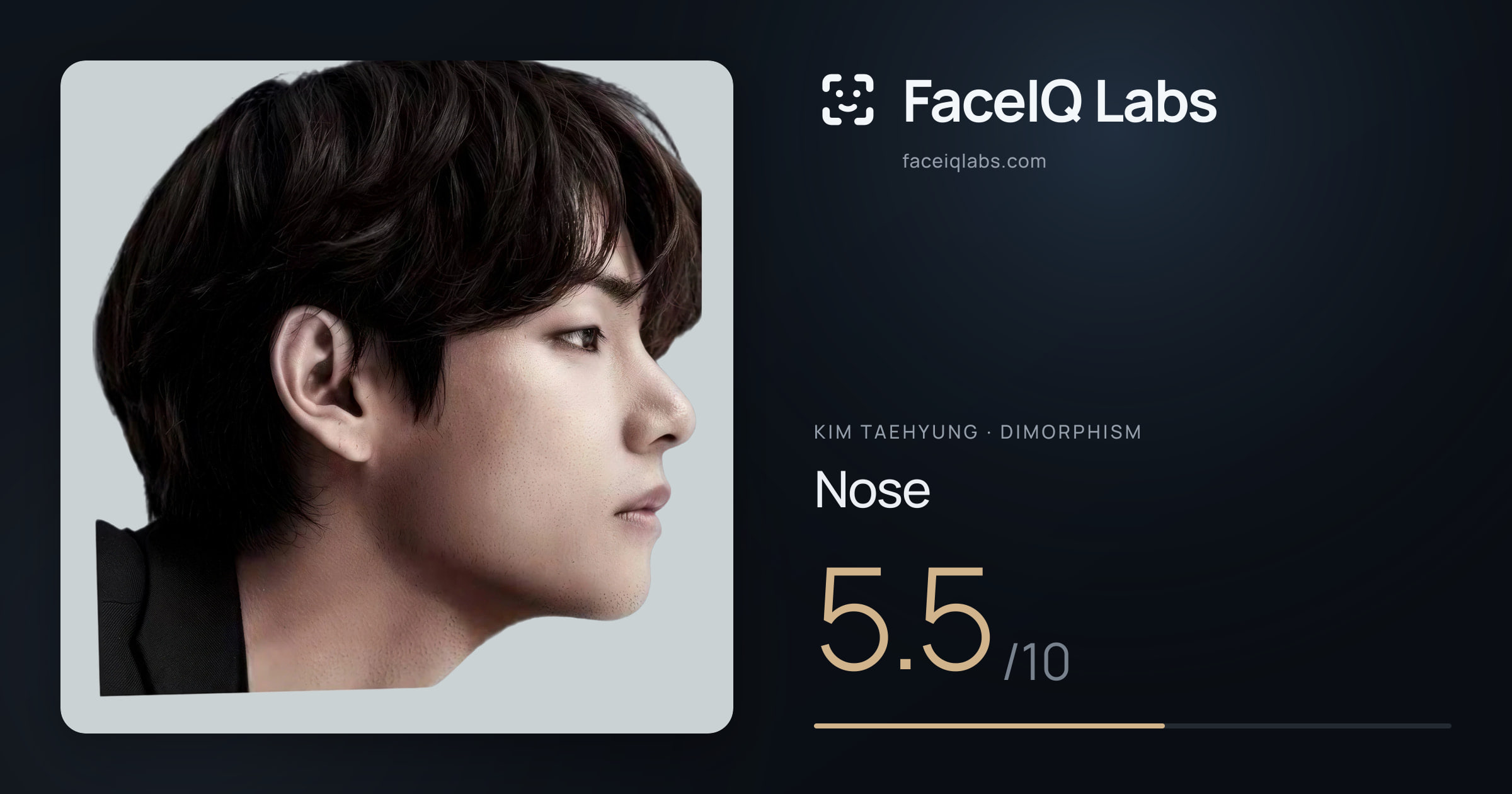 Kim Taehyung Nose: 5.5/10, drawn on the photo
