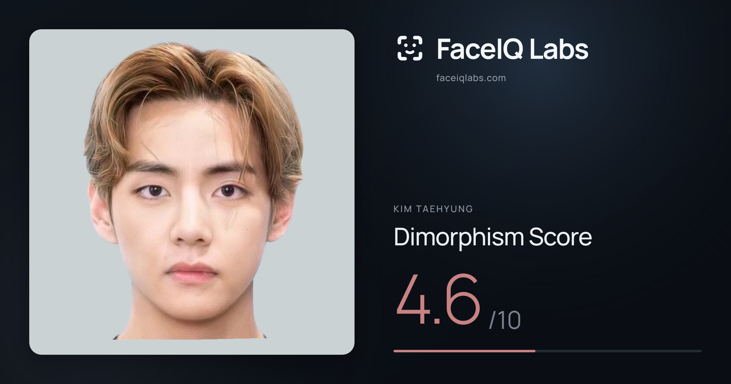 Kim Taehyung Dimorphism: 4.6/10, with each assessment drawn on the photo