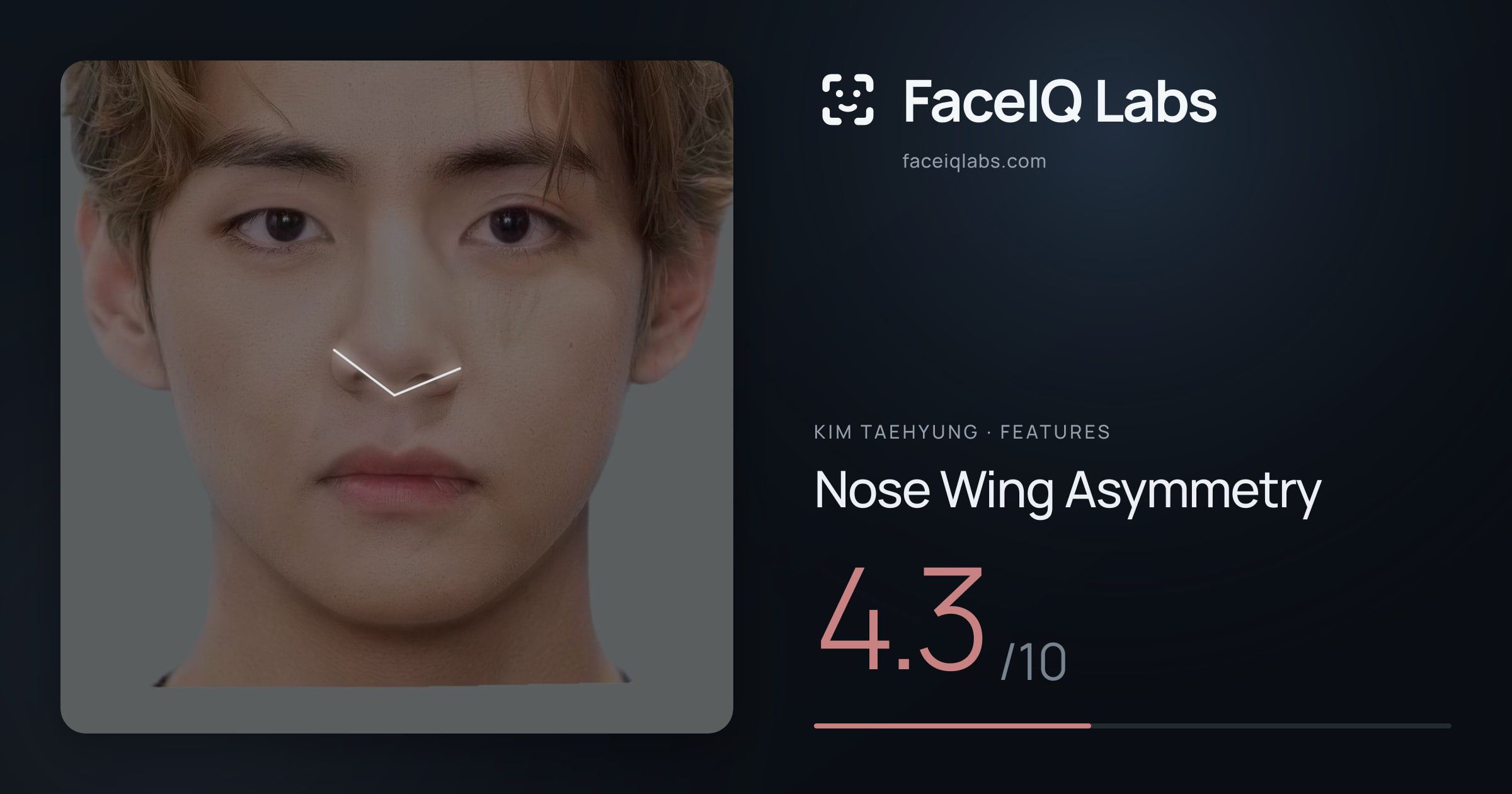 Kim Taehyung Nose Wing Asymmetry: 4.3/10, drawn on the photo