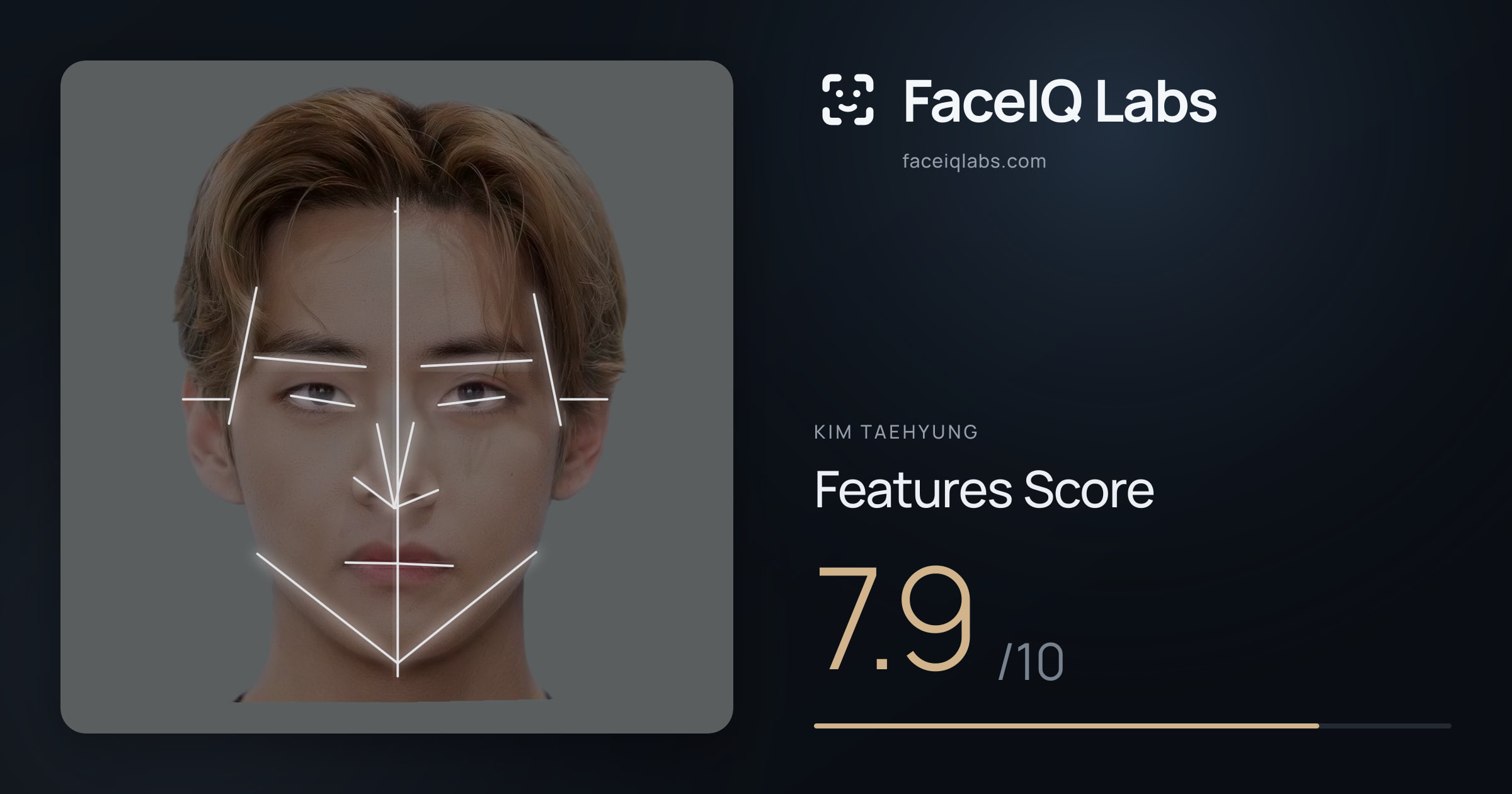 Kim Taehyung Features: 7.9/10, with each assessment drawn on the photo