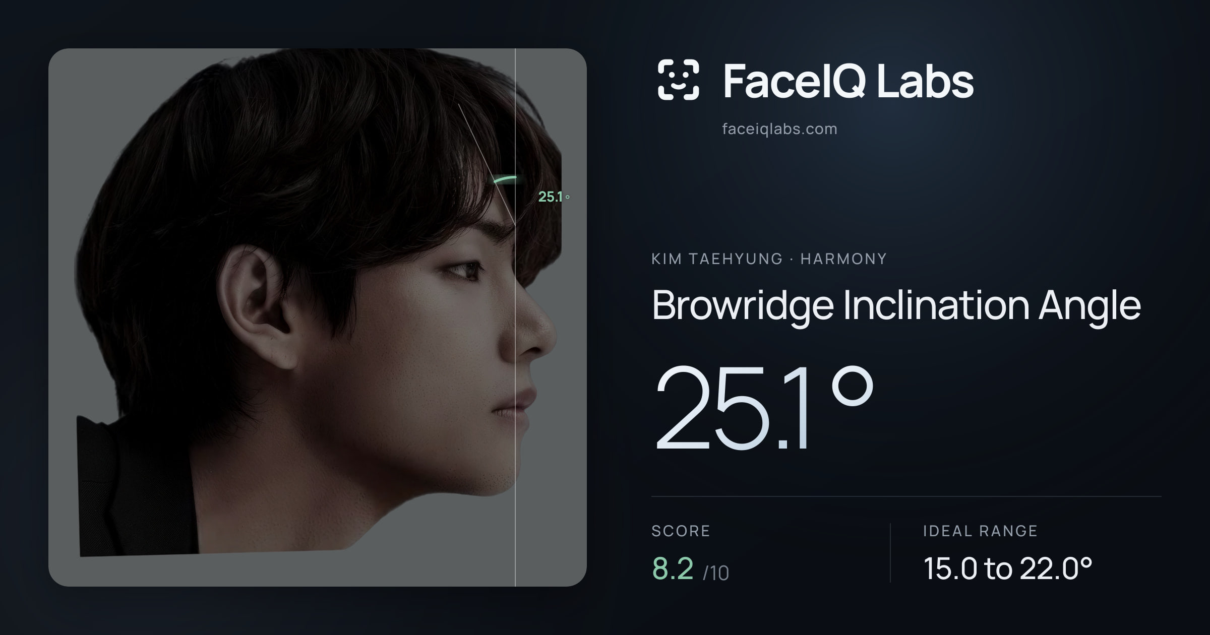 Kim Taehyung Browridge Inclination Angle: 25.1°, drawn on the photo
