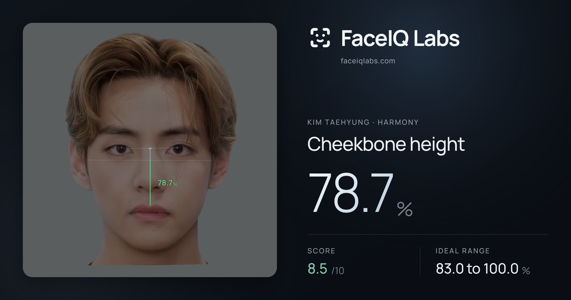 Kim Taehyung Cheekbone height: 78.7%, drawn on the photo