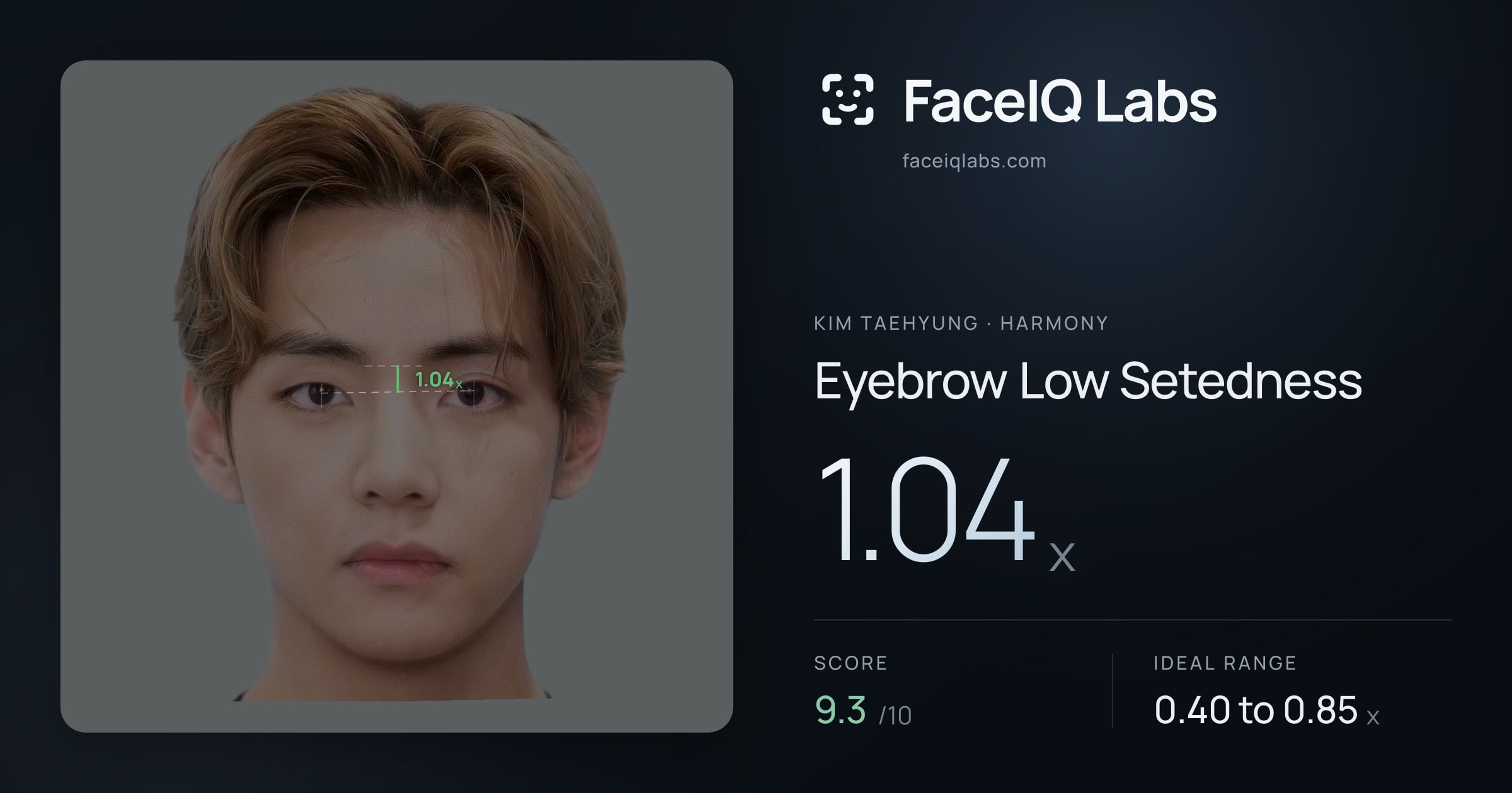 Kim Taehyung Eyebrow Low Setedness: 1.04x, drawn on the photo
