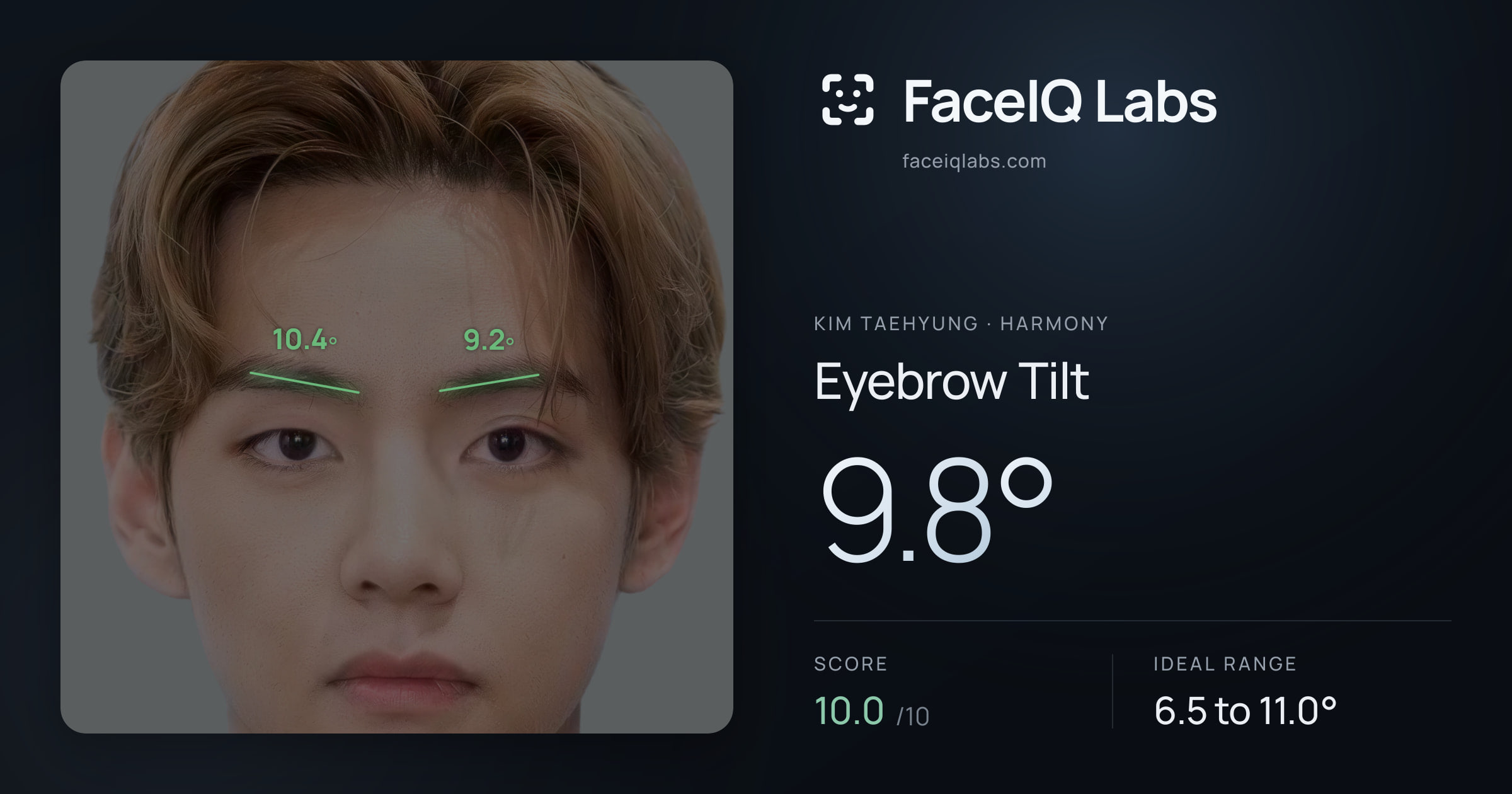 Kim Taehyung Eyebrow Tilt: 9.8°, drawn on the photo