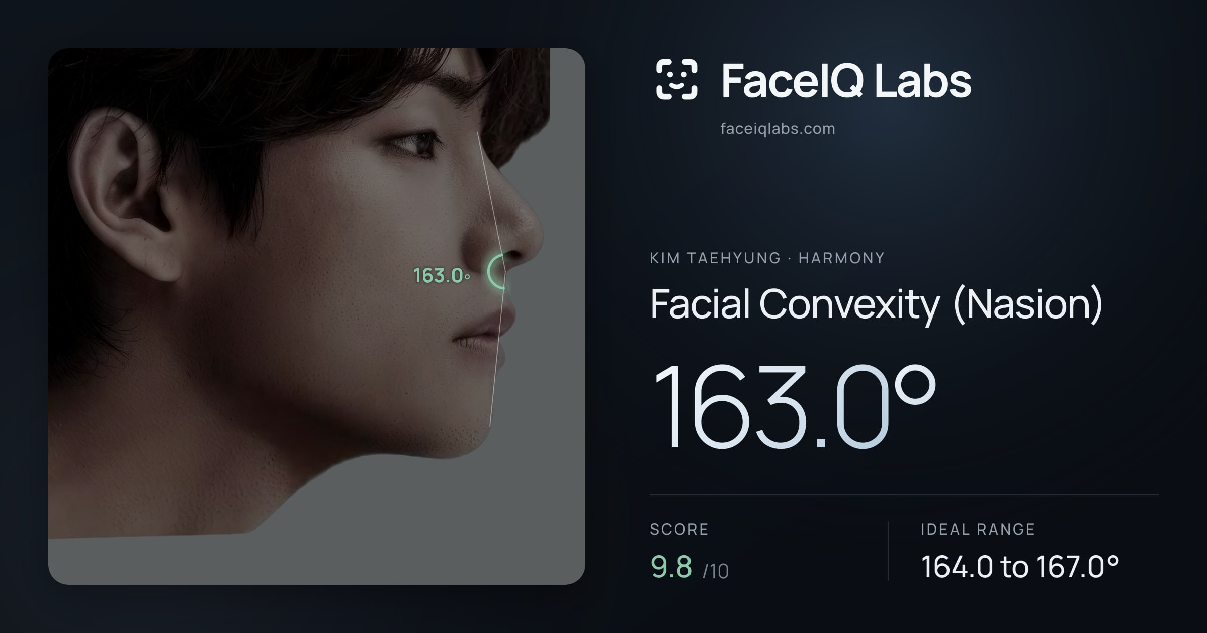 Kim Taehyung Facial Convexity (Nasion): 163.0°, drawn on the photo