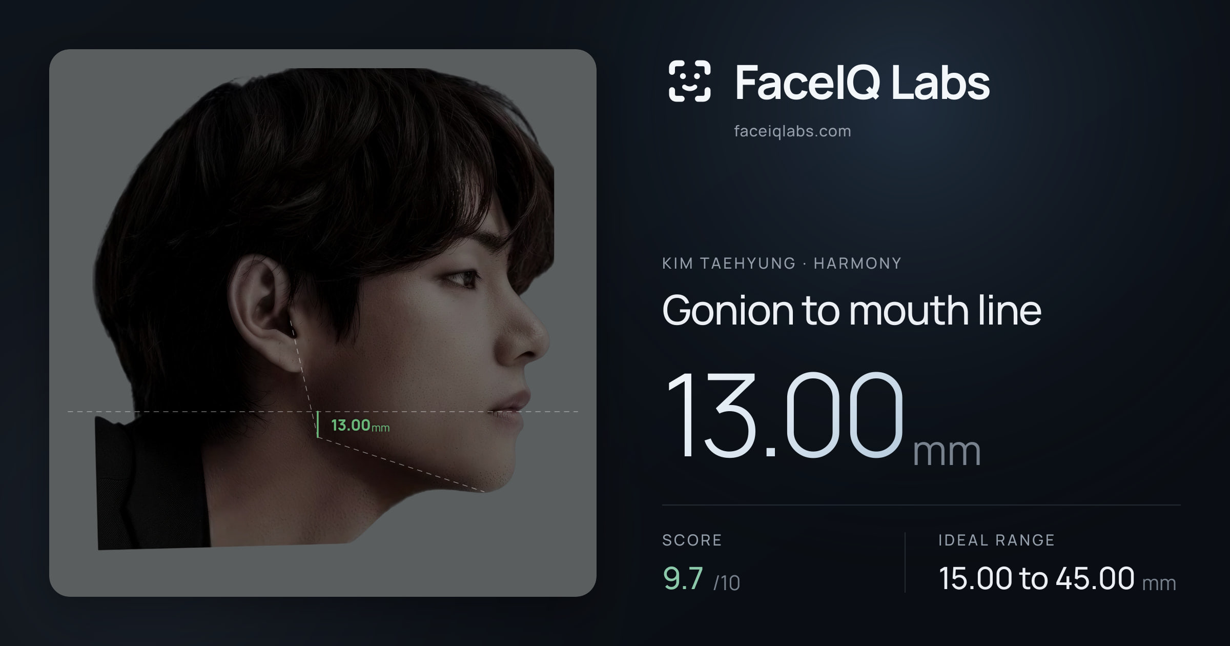 Kim Taehyung Gonion to mouth line: 13.00mm, drawn on the photo