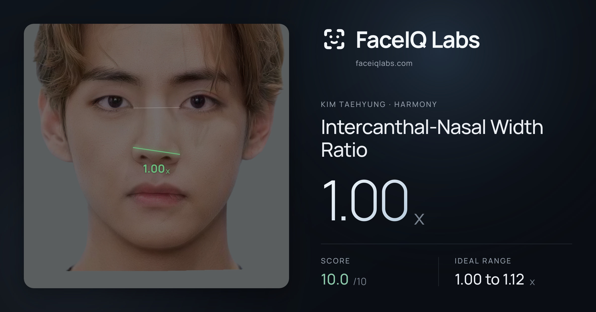 Kim Taehyung Intercanthal-Nasal Width Ratio: 1.00x, drawn on the photo