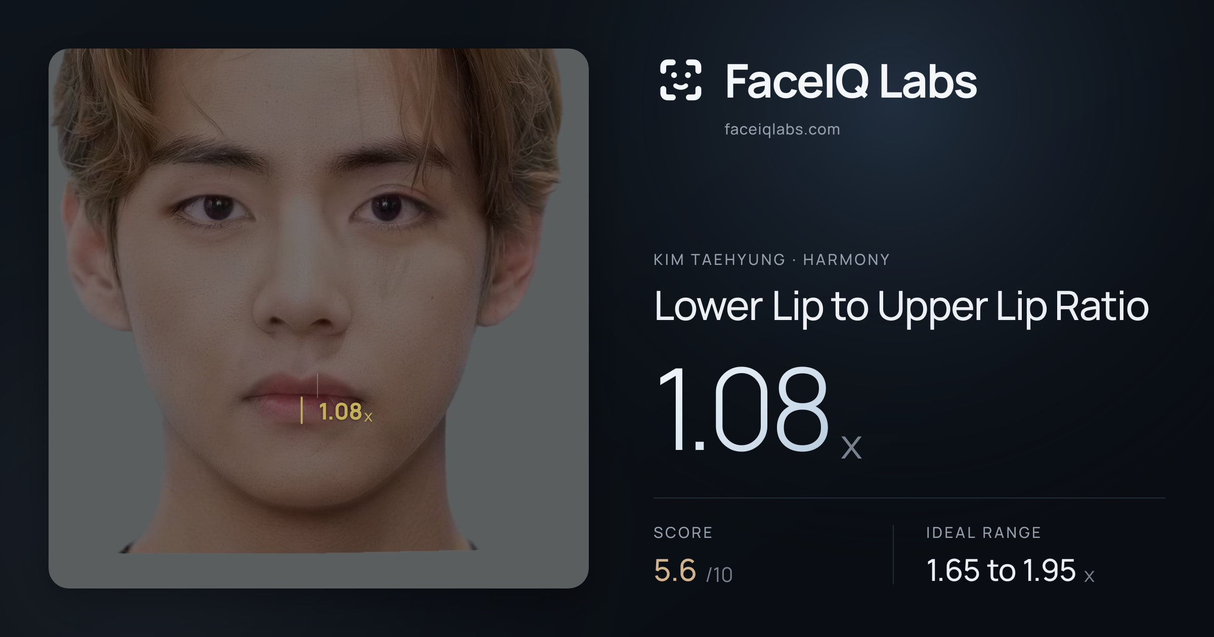 Kim Taehyung Lower Lip to Upper Lip Ratio: 1.08x, drawn on the photo