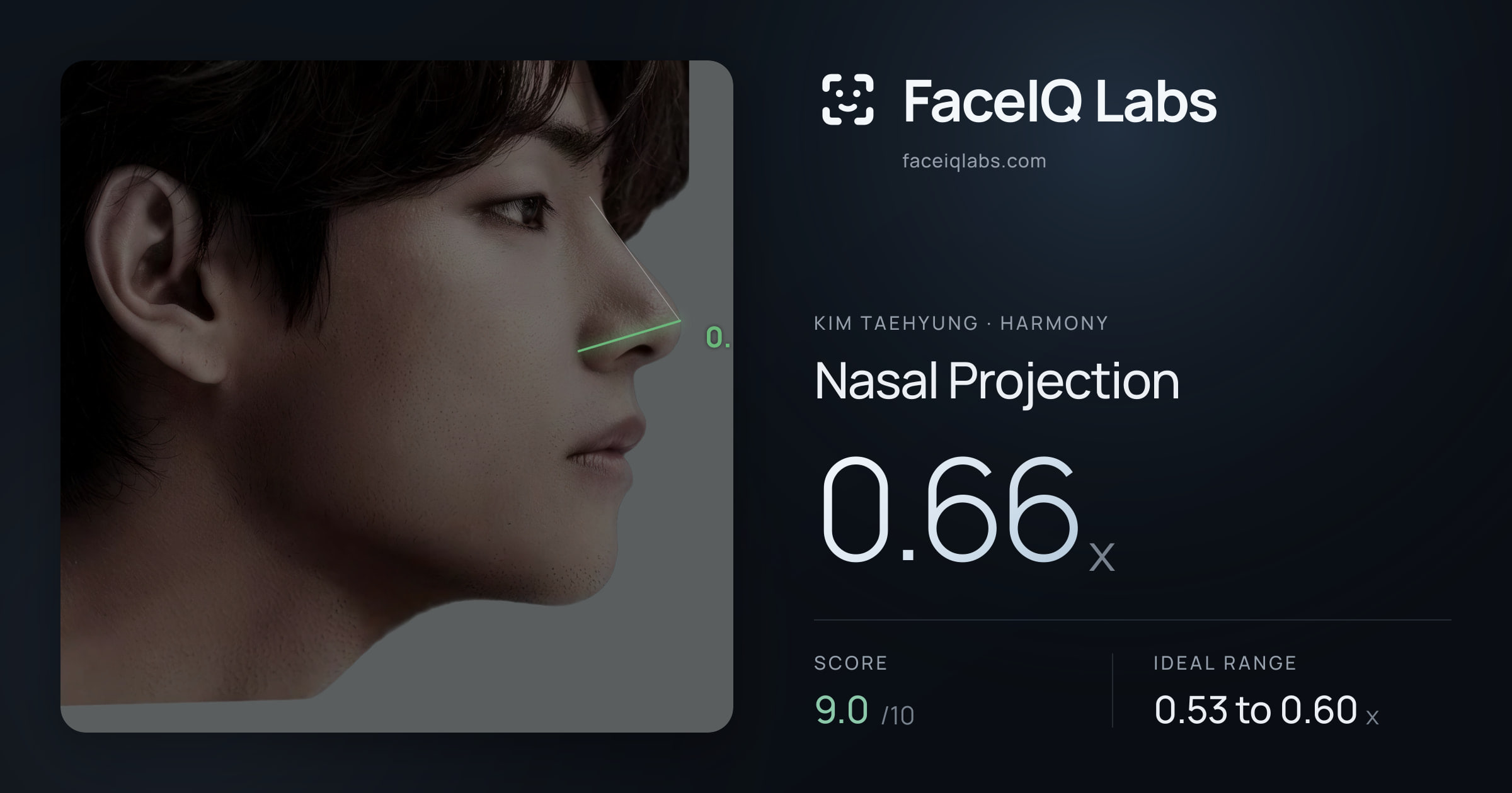Kim Taehyung Nasal Projection: 0.66x, drawn on the photo