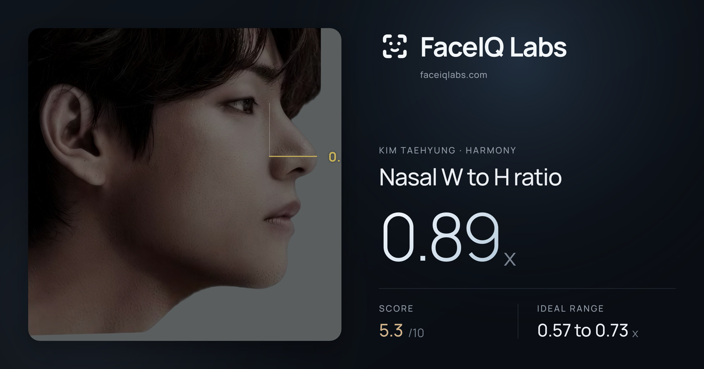 Kim Taehyung Nasal W to H ratio: 0.89x, drawn on the photo