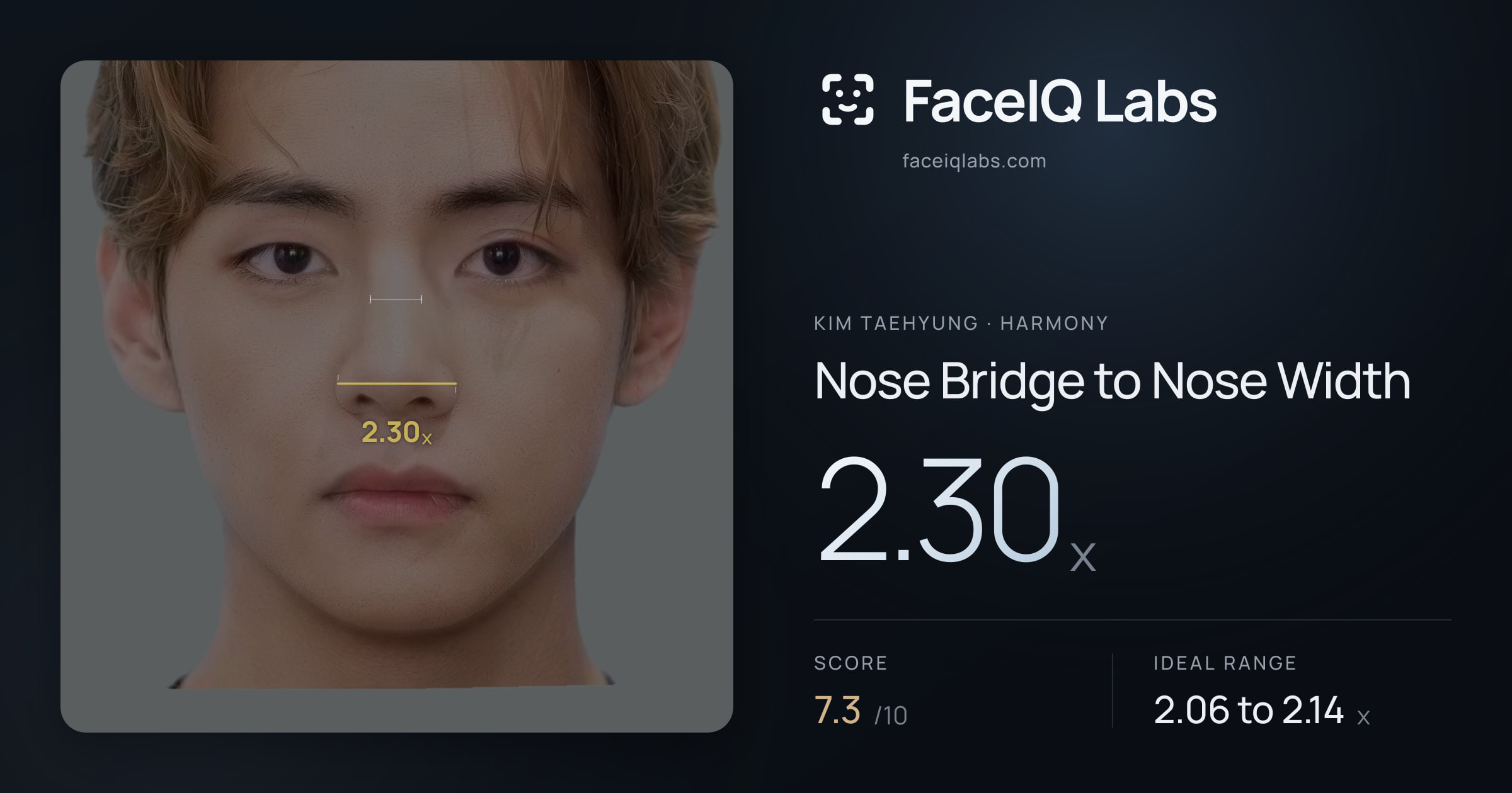 Kim Taehyung Nose Bridge to Nose Width: 2.30x, drawn on the photo