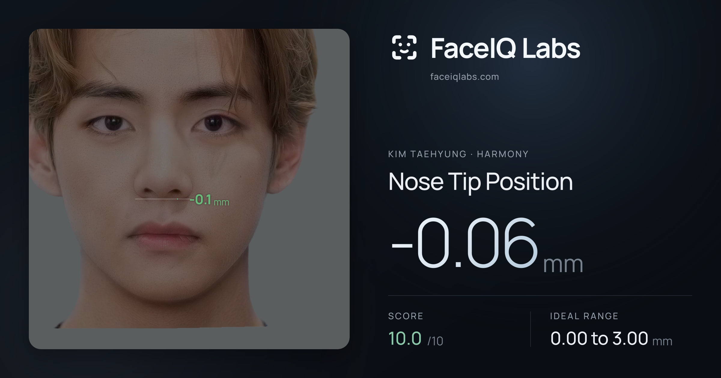 Kim Taehyung Nose Tip Position: -0.06mm, drawn on the photo