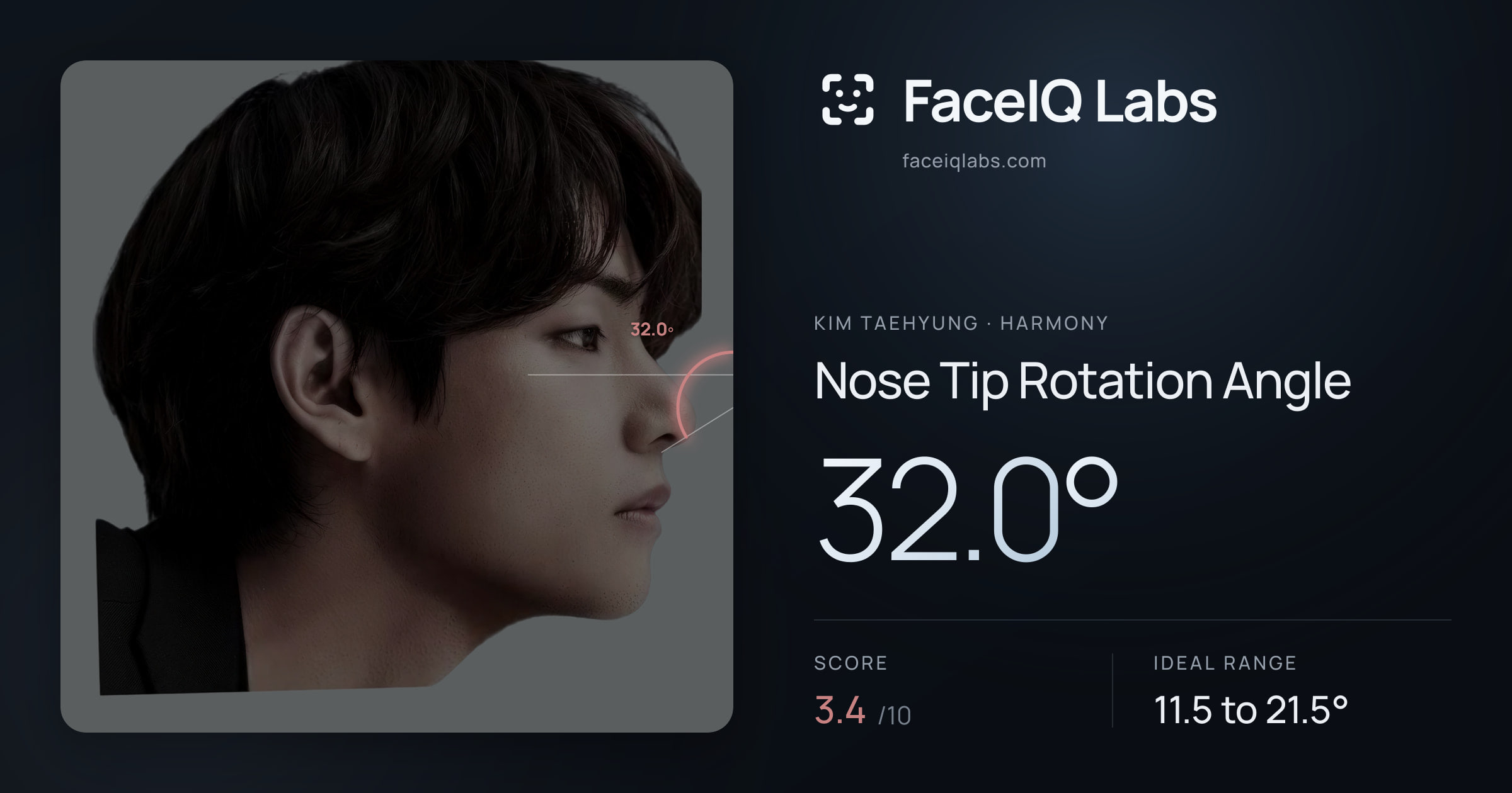Kim Taehyung Nose Tip Rotation Angle: 32.0°, drawn on the photo