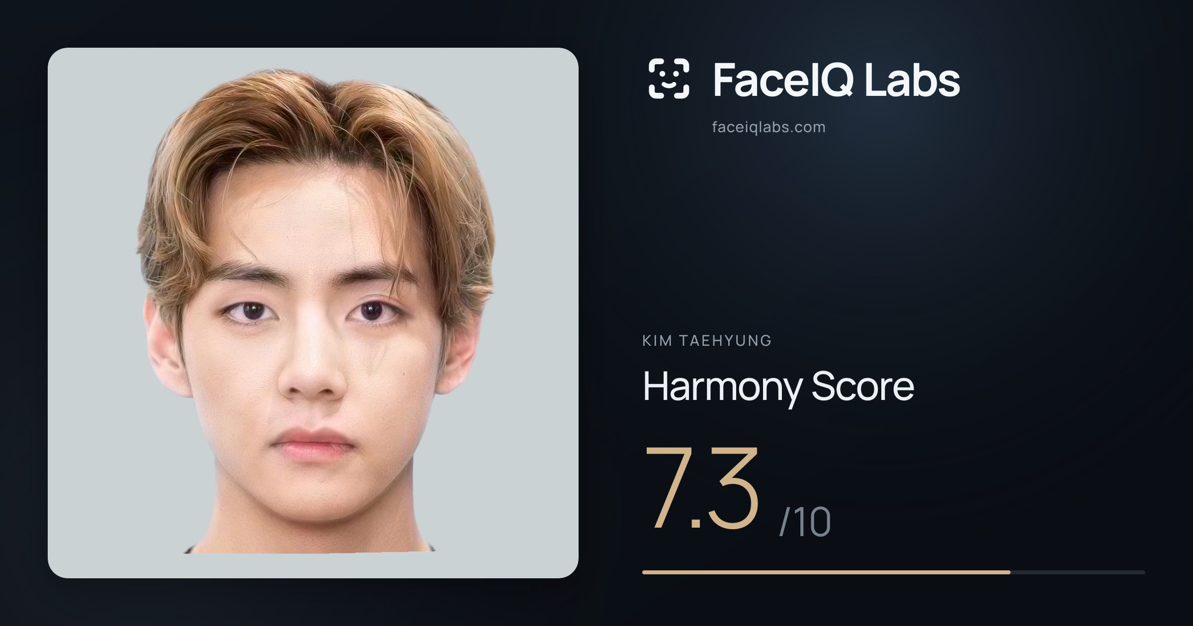 Kim Taehyung Harmony: 7.3/10, with each ratio's score