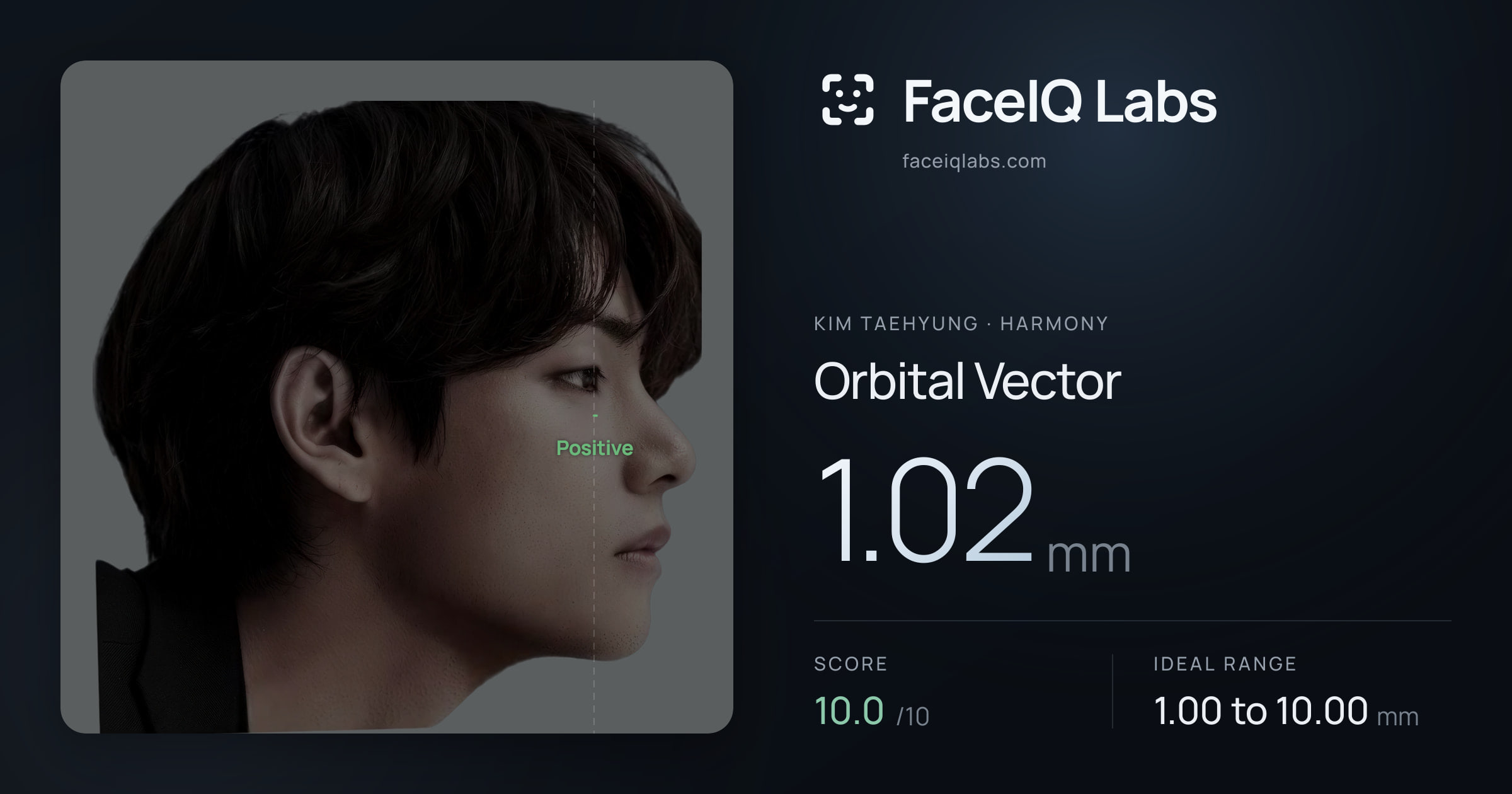 Kim Taehyung Orbital Vector: 1.02mm, drawn on the photo