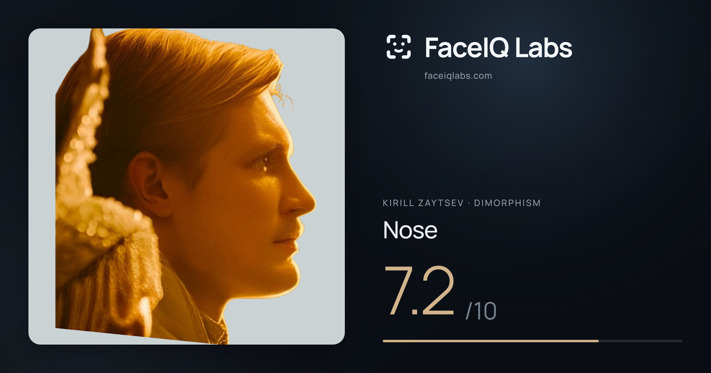 Kirill Zaytsev Nose: 7.2/10, drawn on the photo