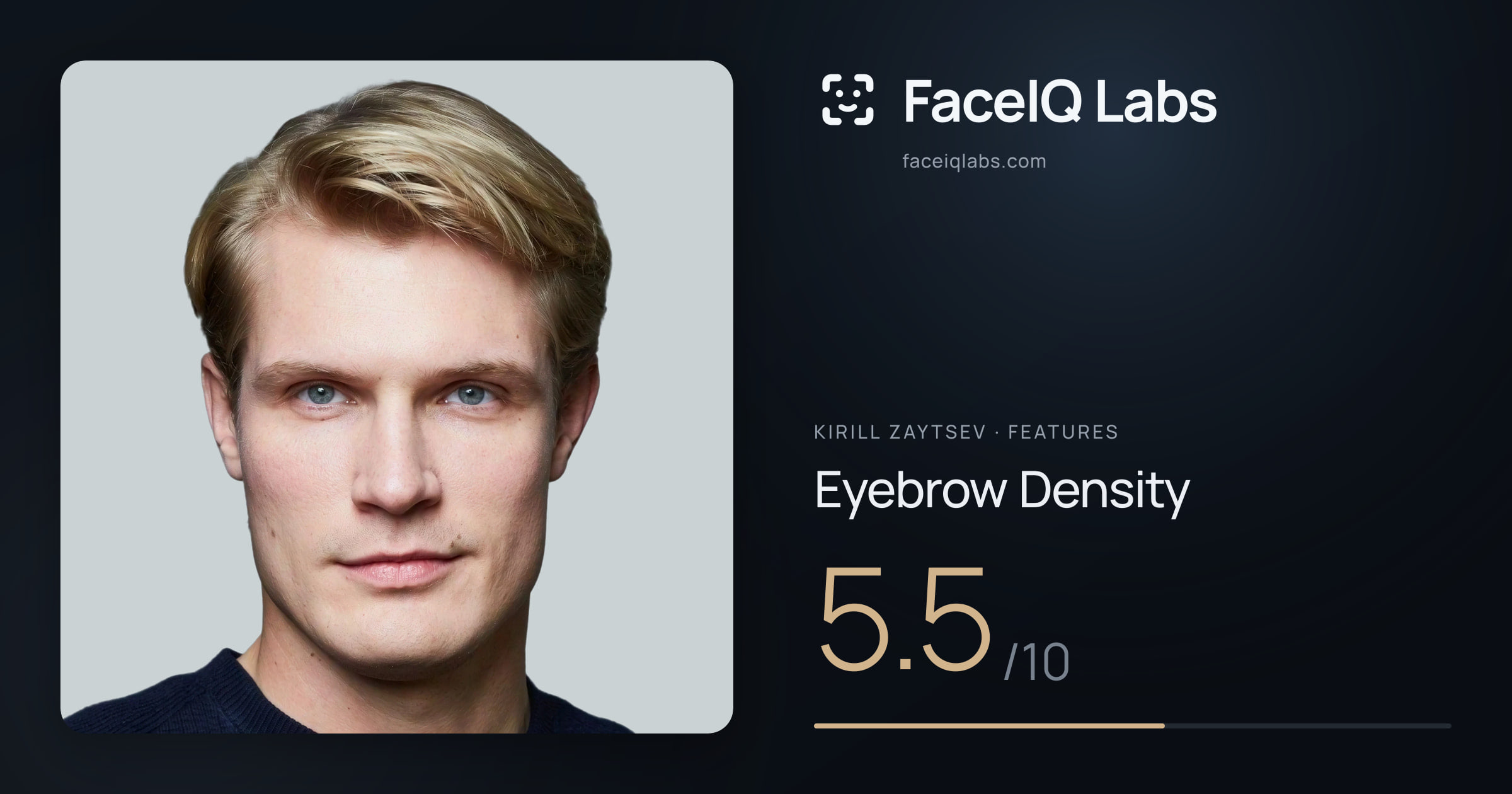 Kirill Zaytsev Eyebrow Density: 5.5/10, drawn on the photo