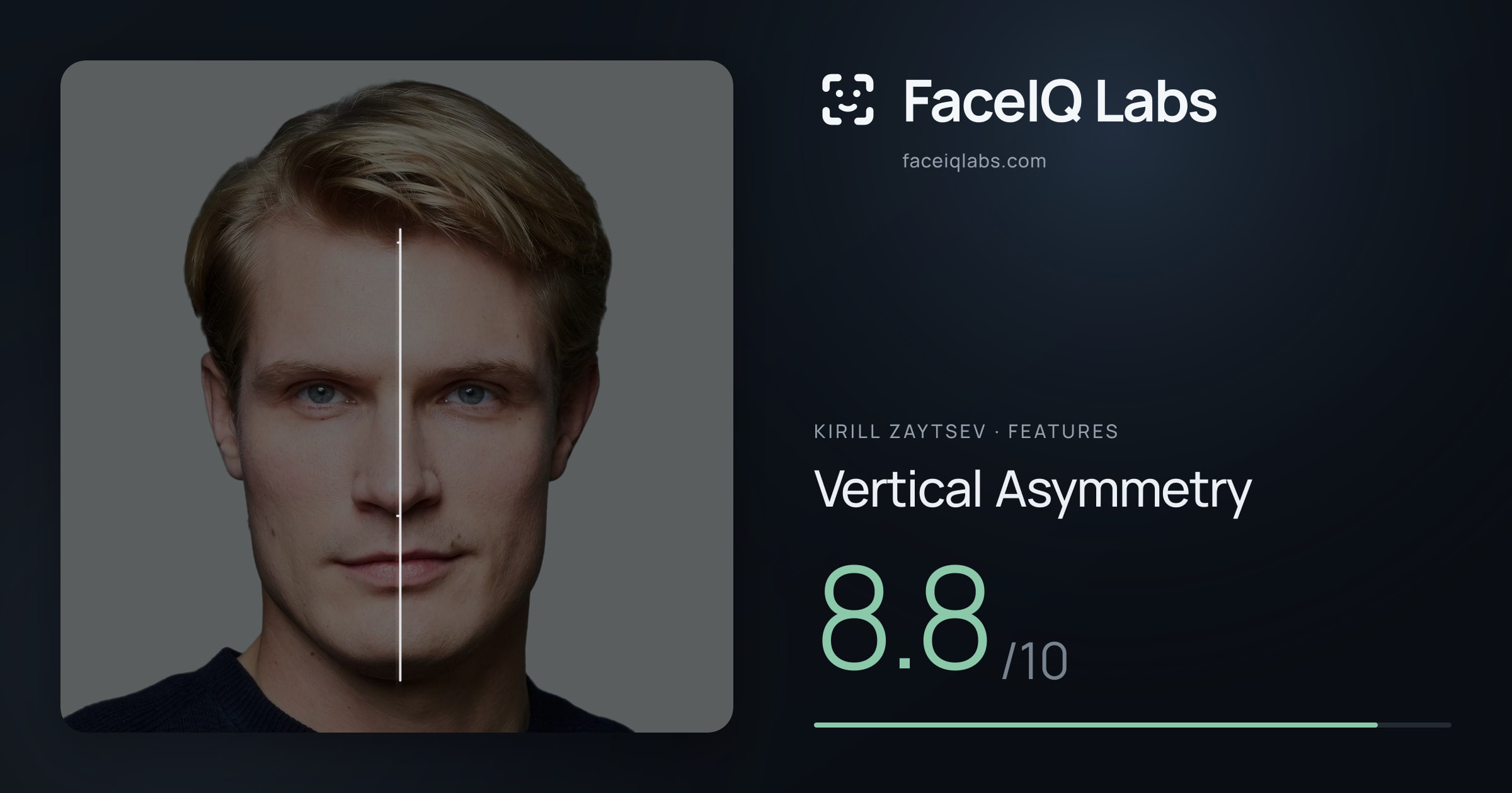 Kirill Zaytsev Vertical Asymmetry: 8.8/10, drawn on the photo