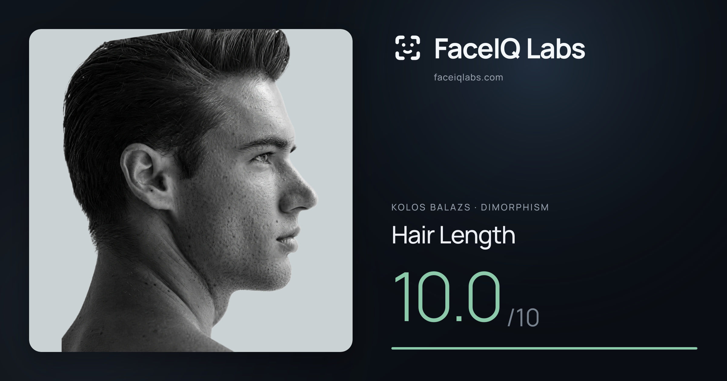 Kolos Balazs Hair Length: 10.0/10, drawn on the photo