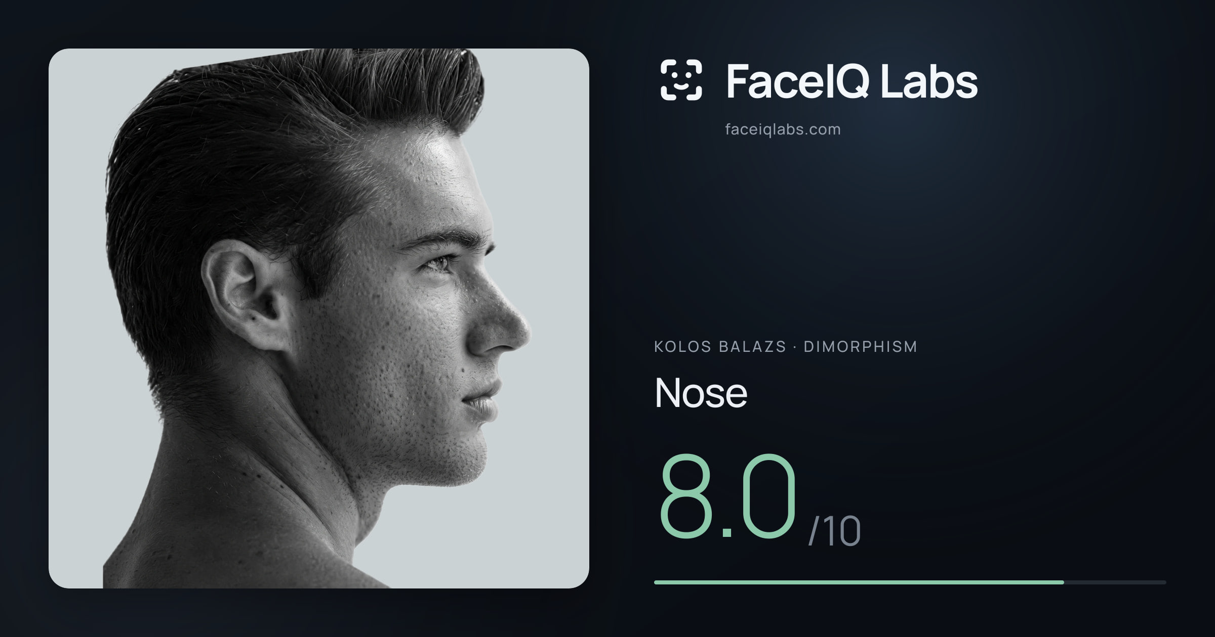 Kolos Balazs Nose: 8.0/10, drawn on the photo