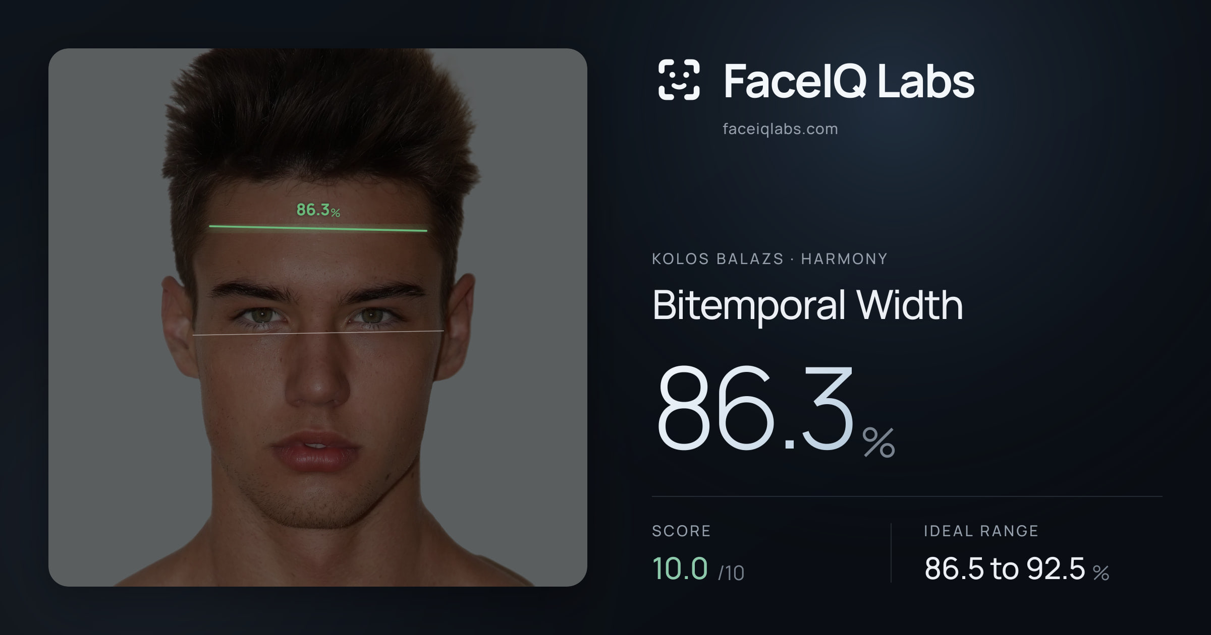 Kolos Balazs Bitemporal Width: 86.3%, drawn on the photo