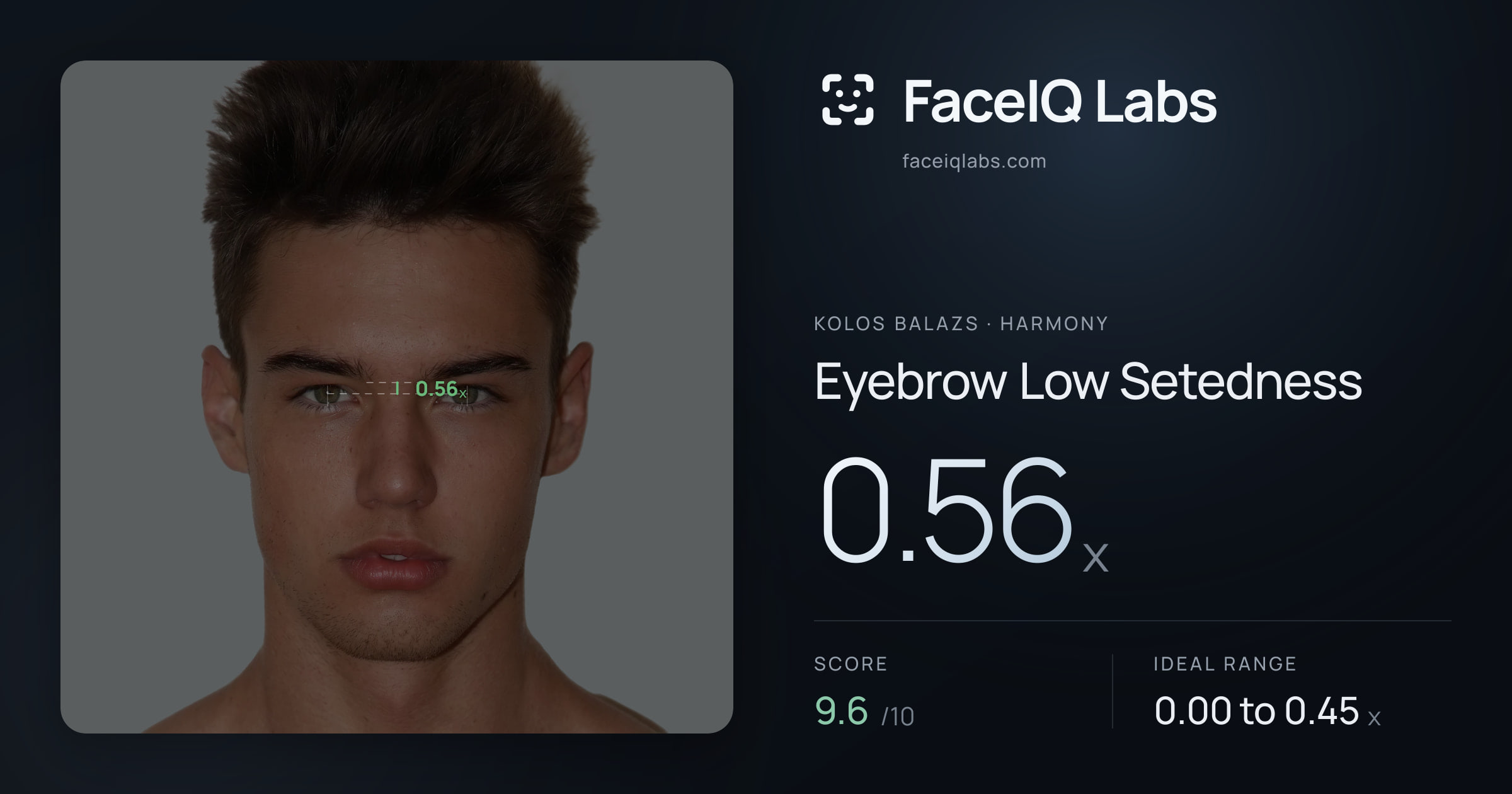Kolos Balazs Eyebrow Low Setedness: 0.56x, drawn on the photo