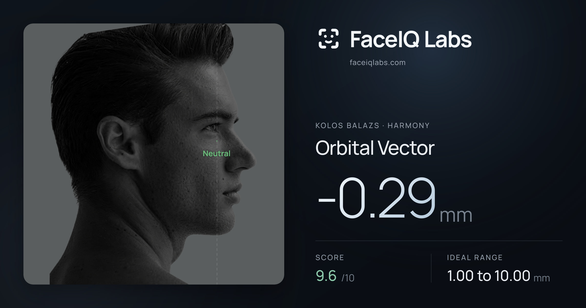 Kolos Balazs Orbital Vector: -0.29mm, drawn on the photo