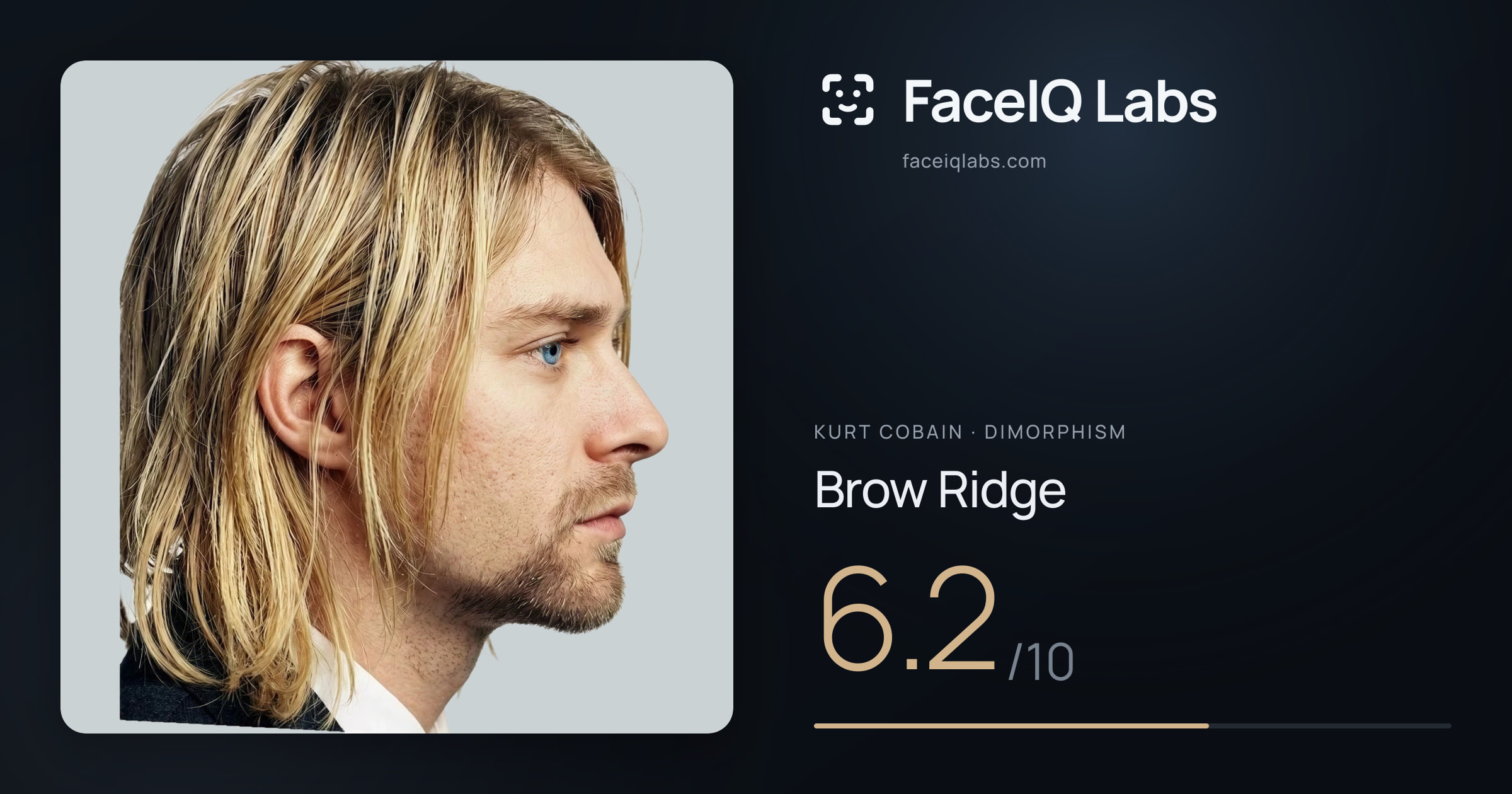 Kurt Cobain Brow Ridge: 6.2/10, drawn on the photo