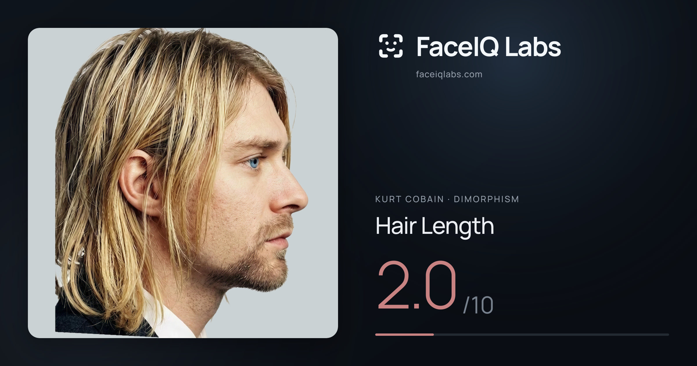 Kurt Cobain Hair Length: 2.0/10, drawn on the photo