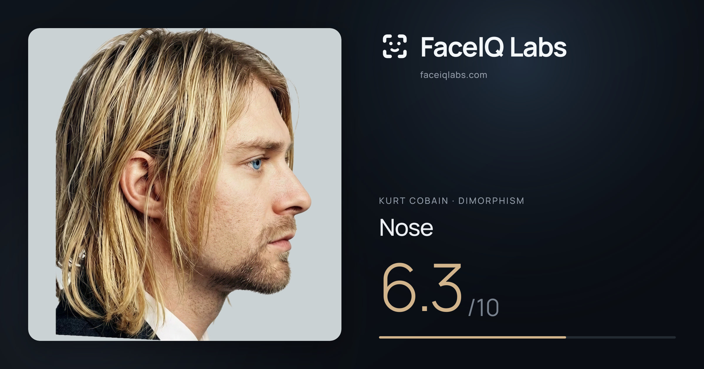 Kurt Cobain Nose: 6.3/10, drawn on the photo