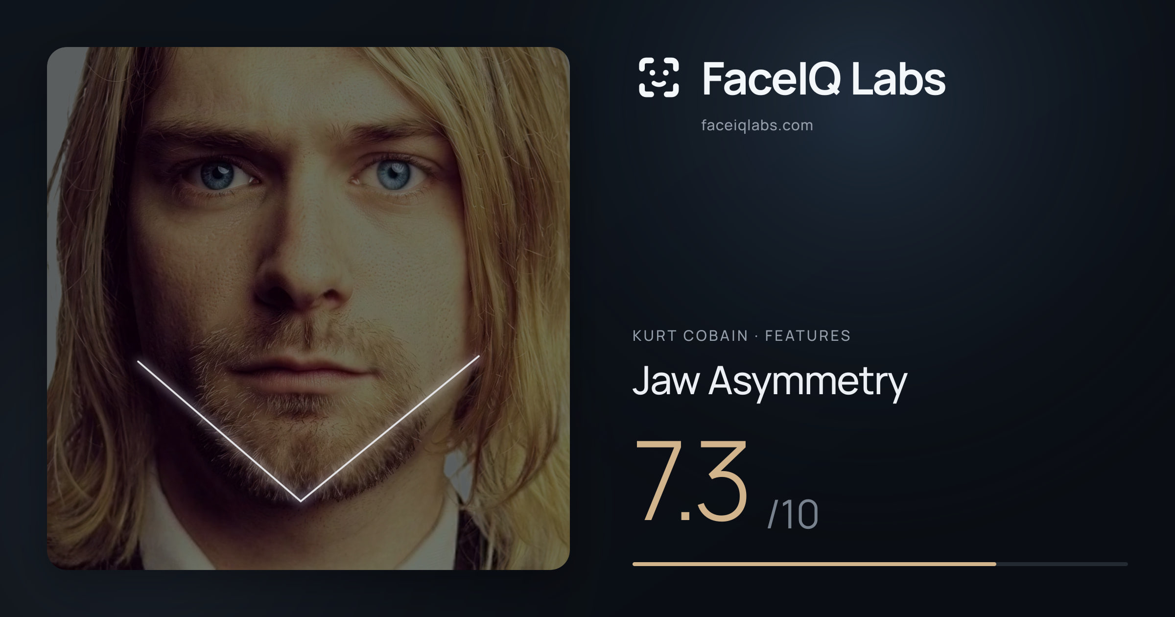 Kurt Cobain Jaw Asymmetry: 7.3/10, drawn on the photo
