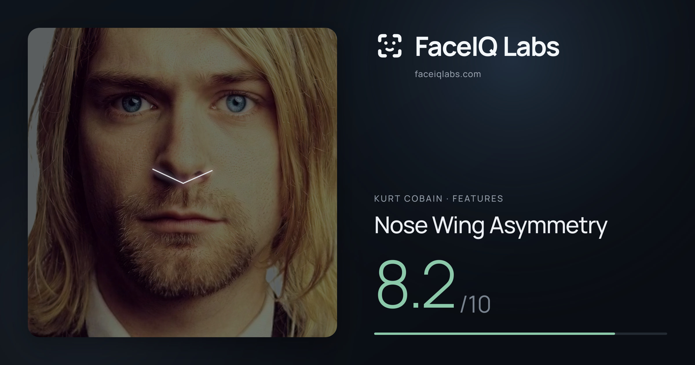 Kurt Cobain Nose Wing Asymmetry: 8.2/10, drawn on the photo