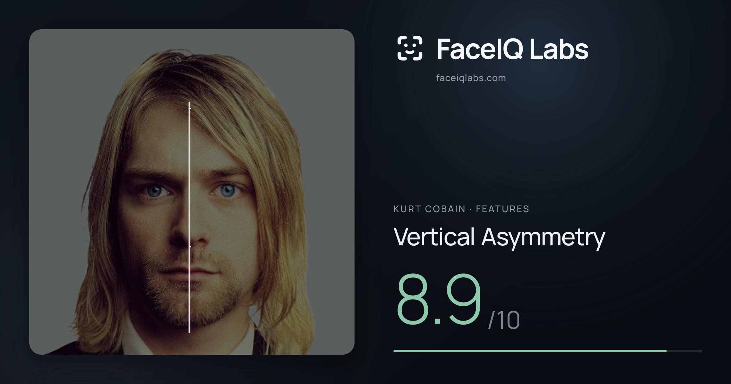 Kurt Cobain Vertical Asymmetry: 8.9/10, drawn on the photo