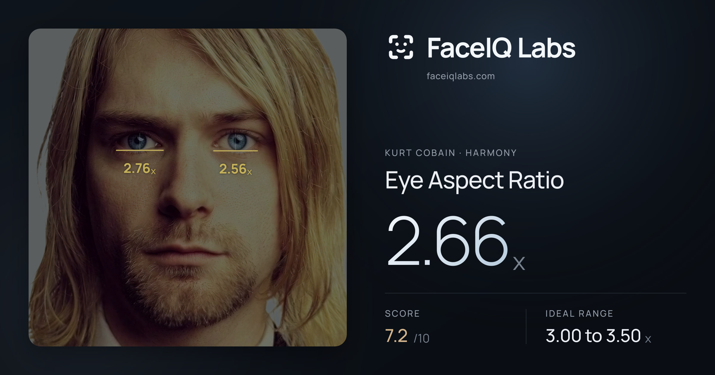 Kurt Cobain Eye Aspect Ratio: 2.66x, drawn on the photo