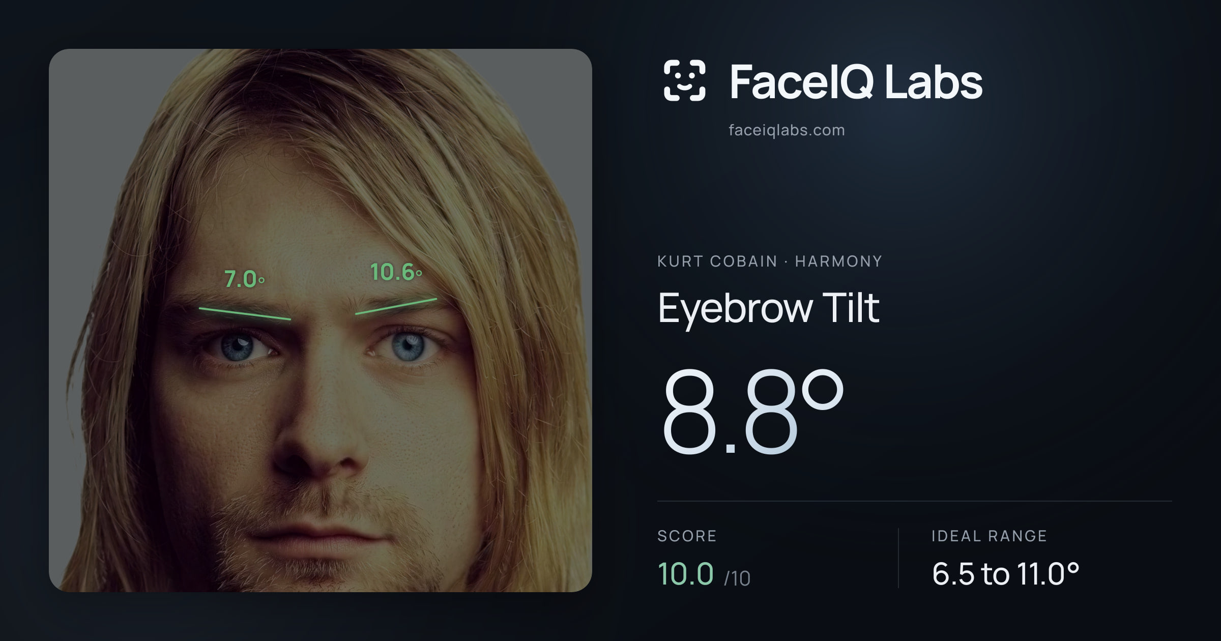 Kurt Cobain Eyebrow Tilt: 8.8°, drawn on the photo