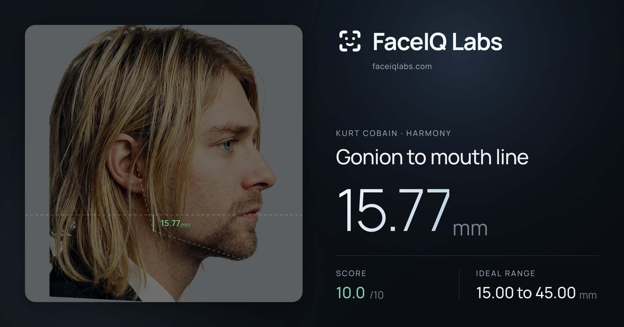 Kurt Cobain Gonion to mouth line: 15.77mm, drawn on the photo
