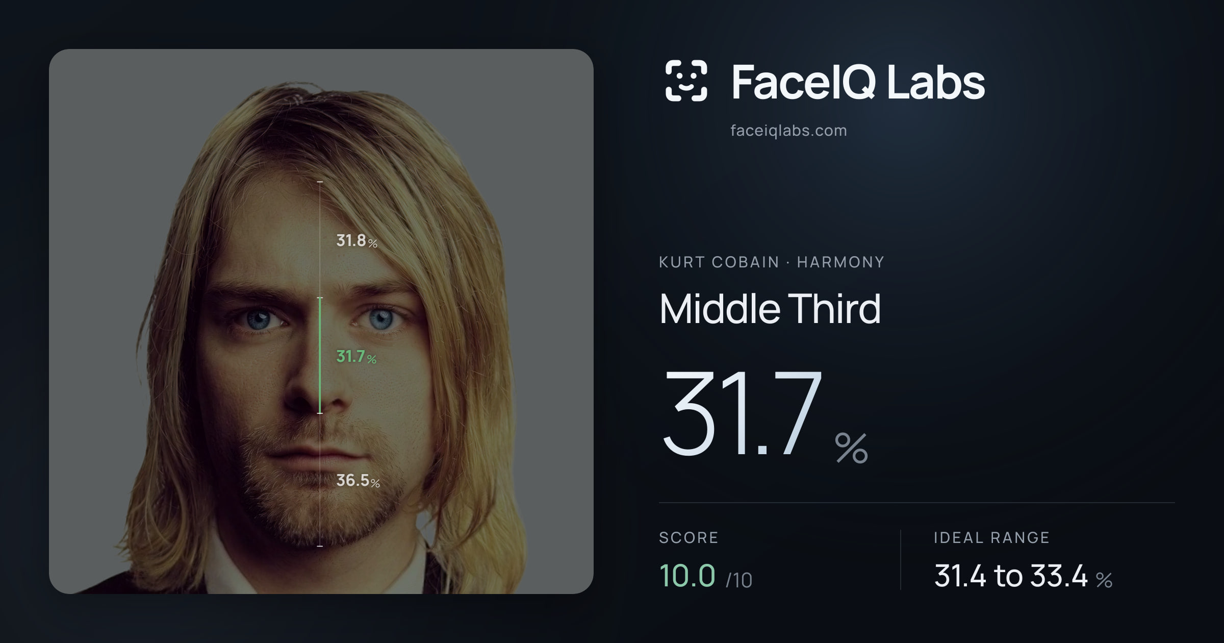 Kurt Cobain Middle Third: 31.7%, drawn on the photo