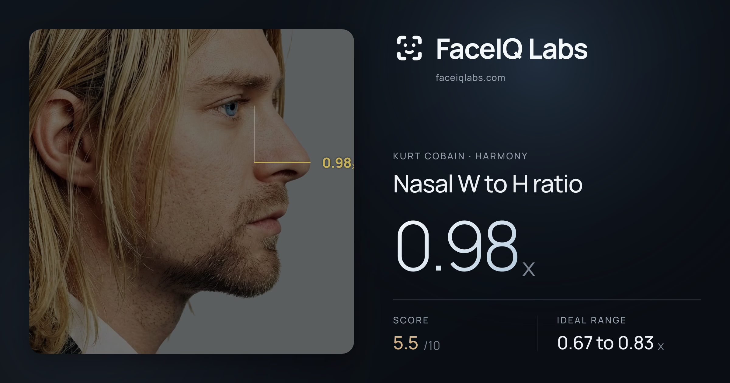 Kurt Cobain Nasal W to H ratio: 0.98x, drawn on the photo