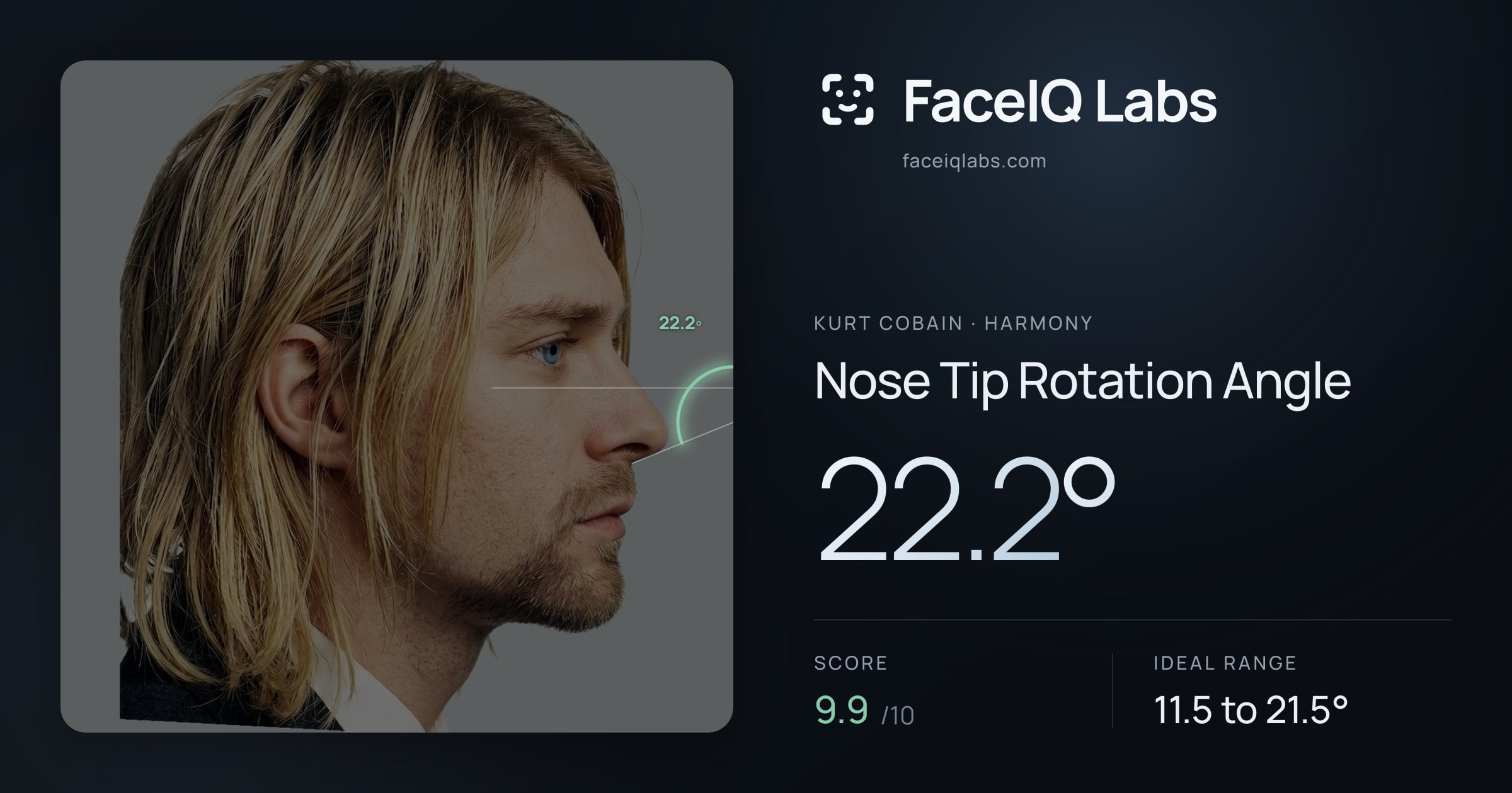 Kurt Cobain Nose Tip Rotation Angle: 22.2°, drawn on the photo