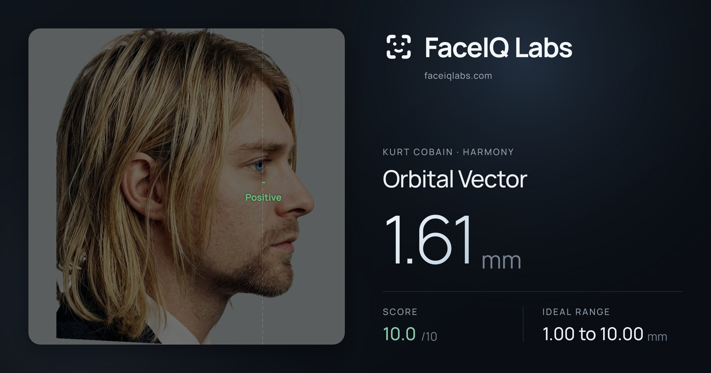 Kurt Cobain Orbital Vector: 1.61mm, drawn on the photo