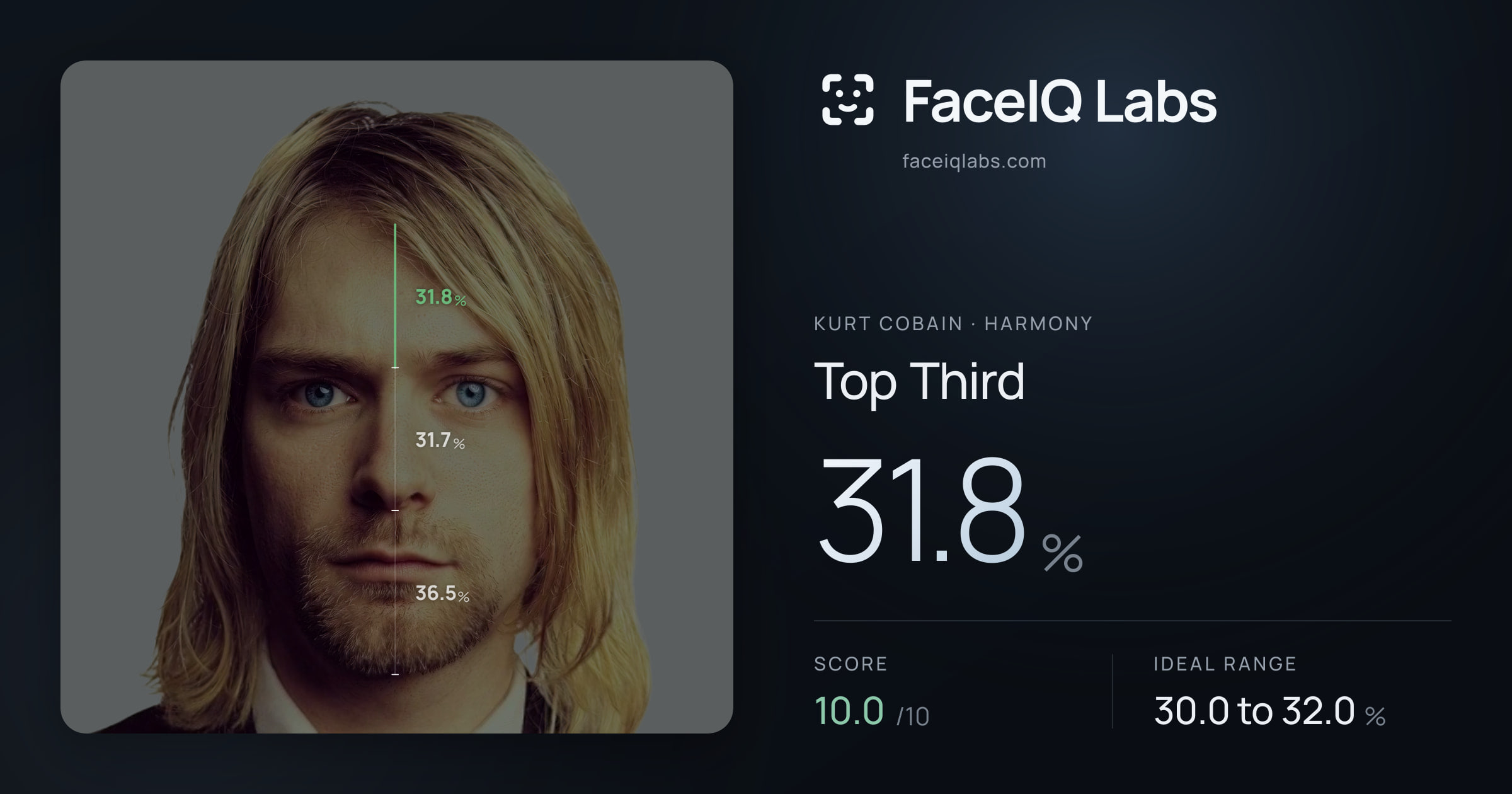 Kurt Cobain Top Third: 31.8%, drawn on the photo