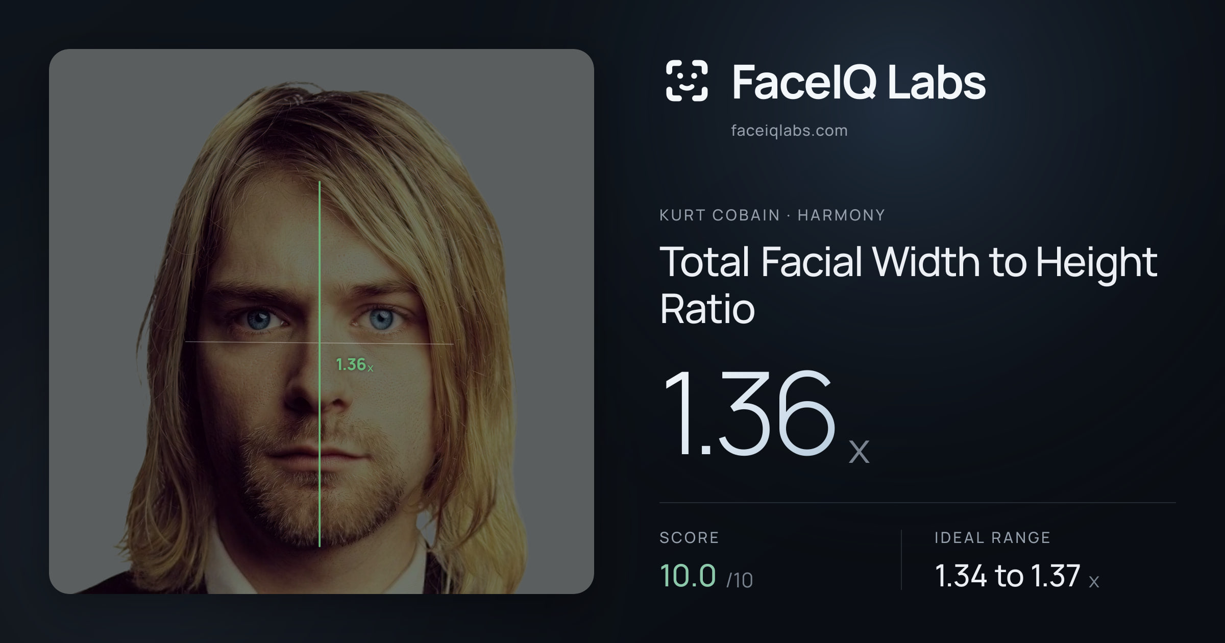 Kurt Cobain Total Facial Width to Height Ratio: 1.36x, drawn on the photo